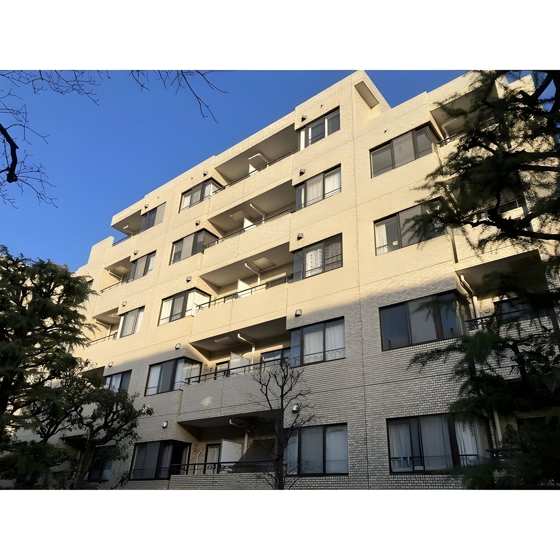 パレ二子玉川 109