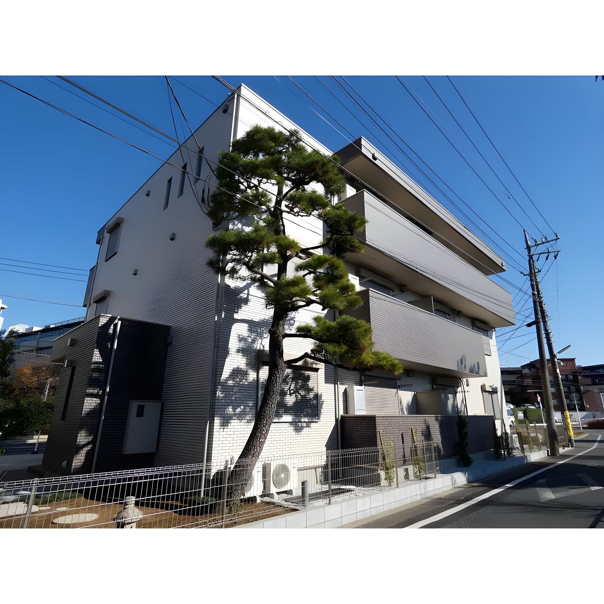 ブエナビスタ二子玉川 104