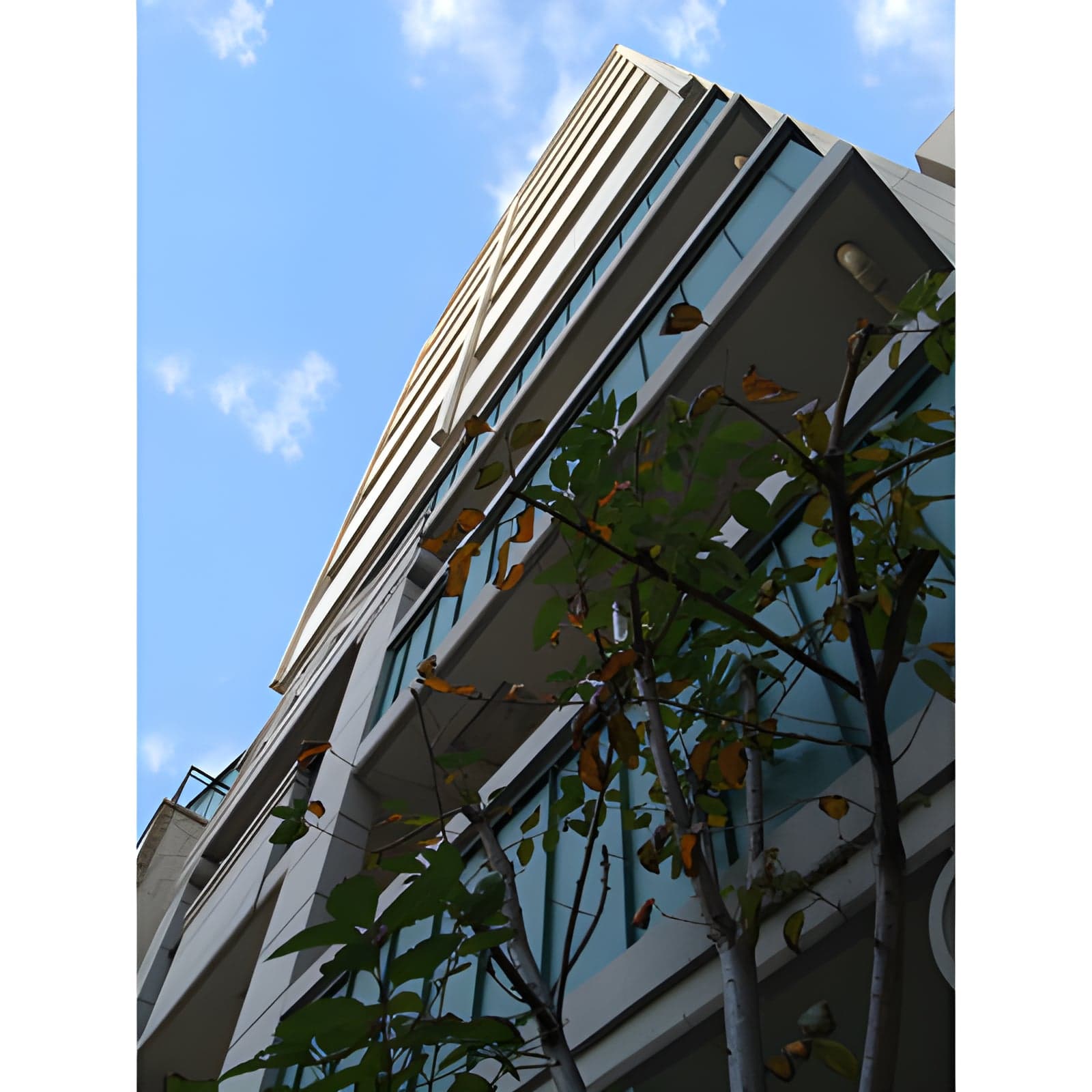 エステムプラザ日本橋弐番館 503
