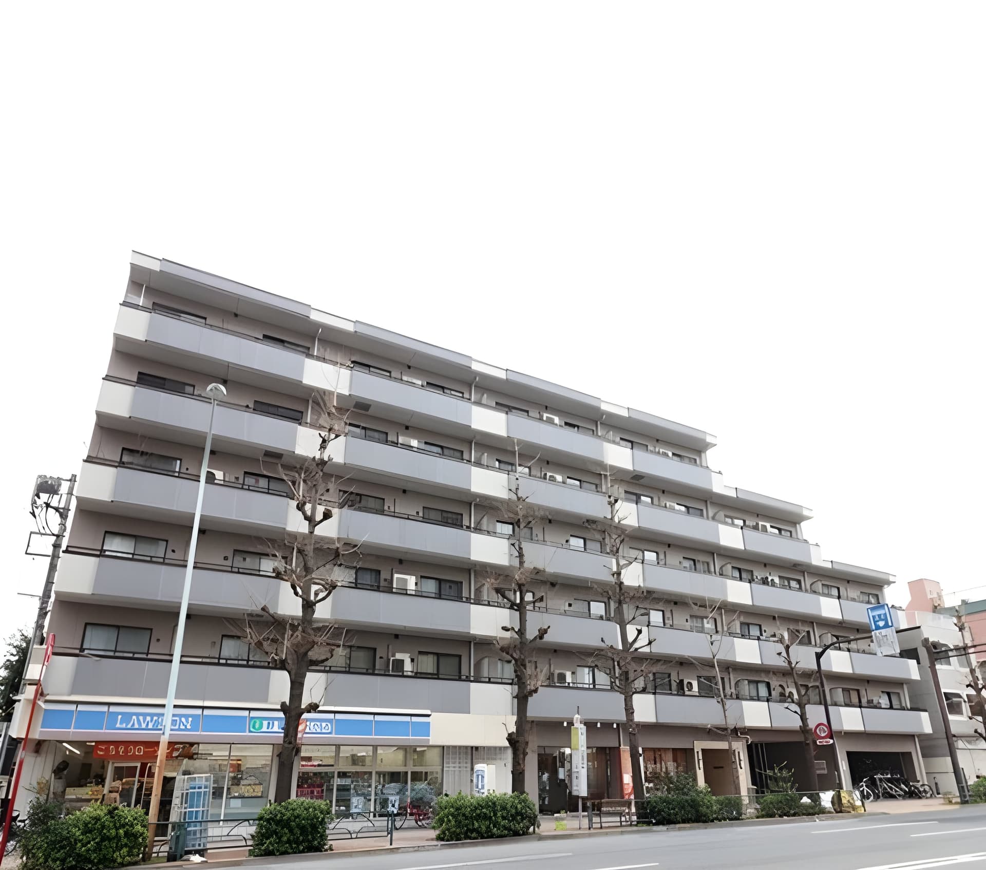 コスモリード学芸大学 102