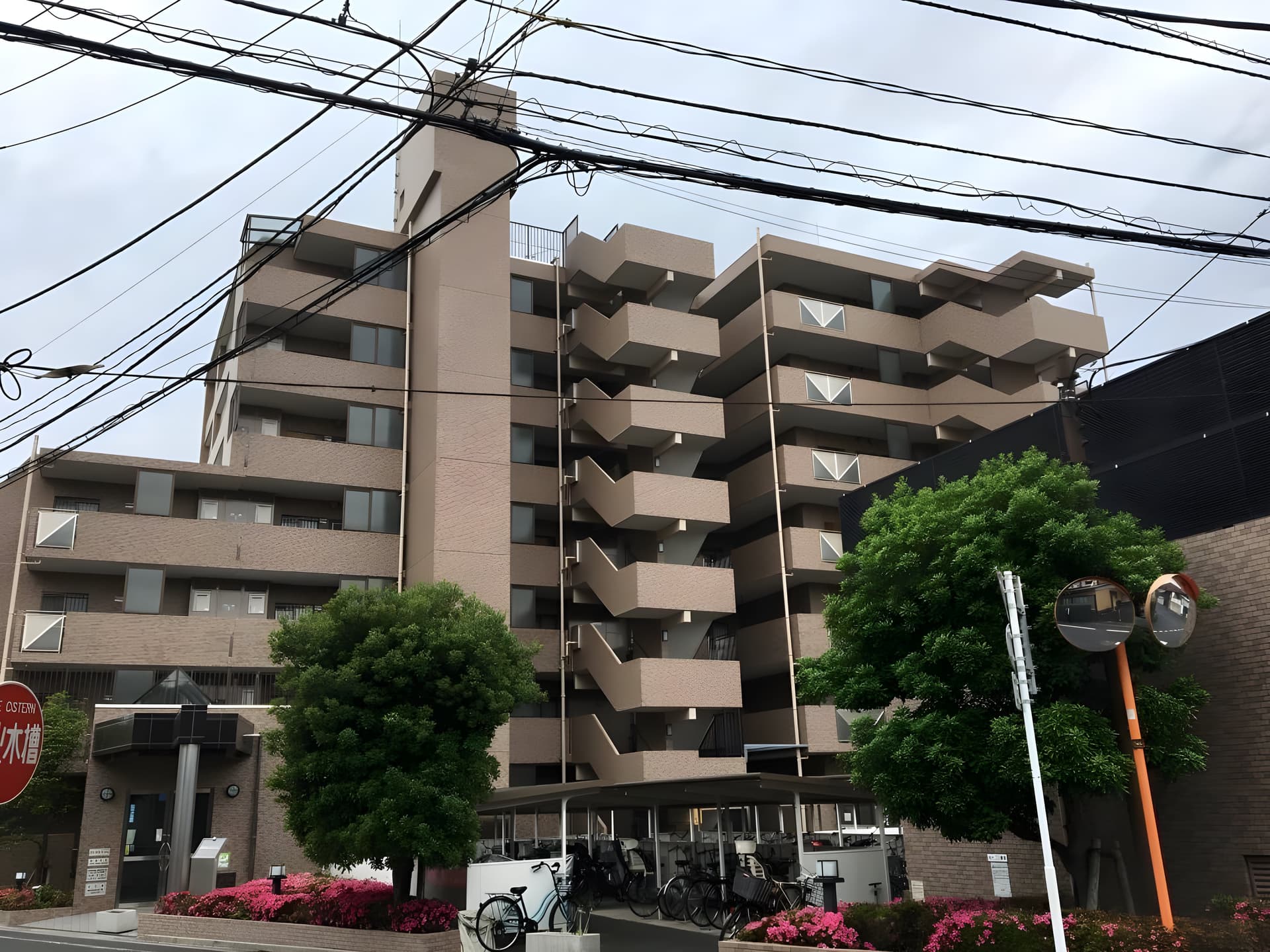 シオンデシュー 505