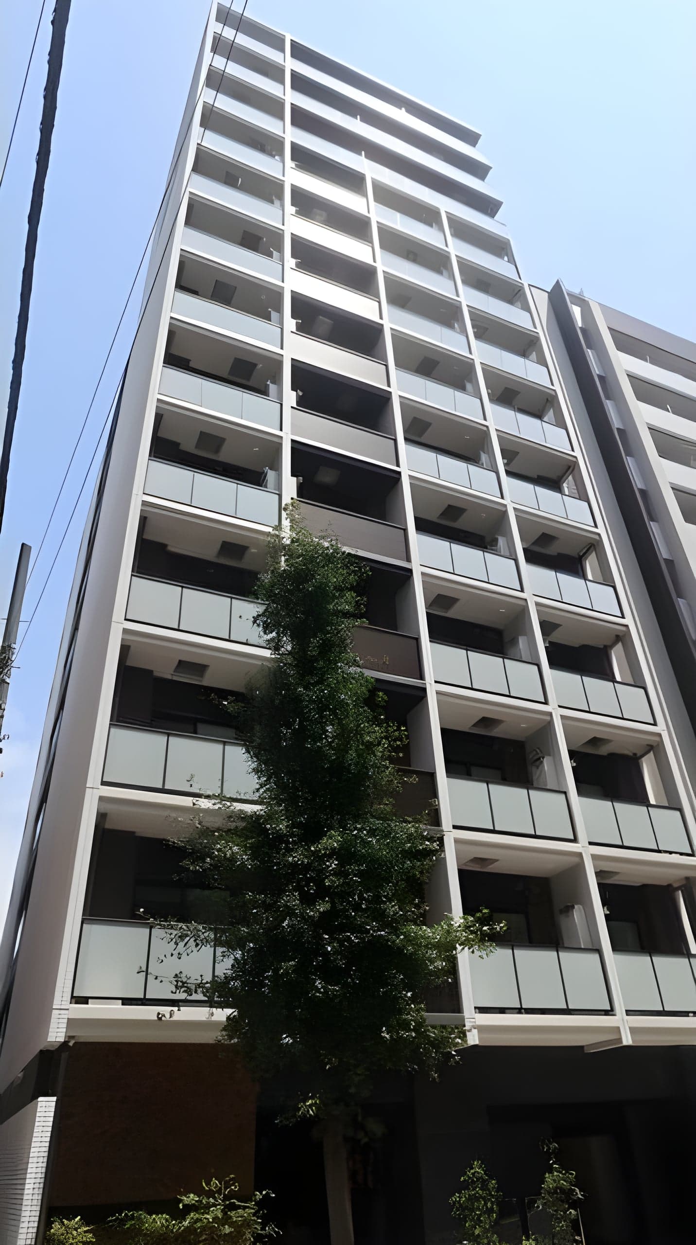 リビオレゾン新虎通り 505