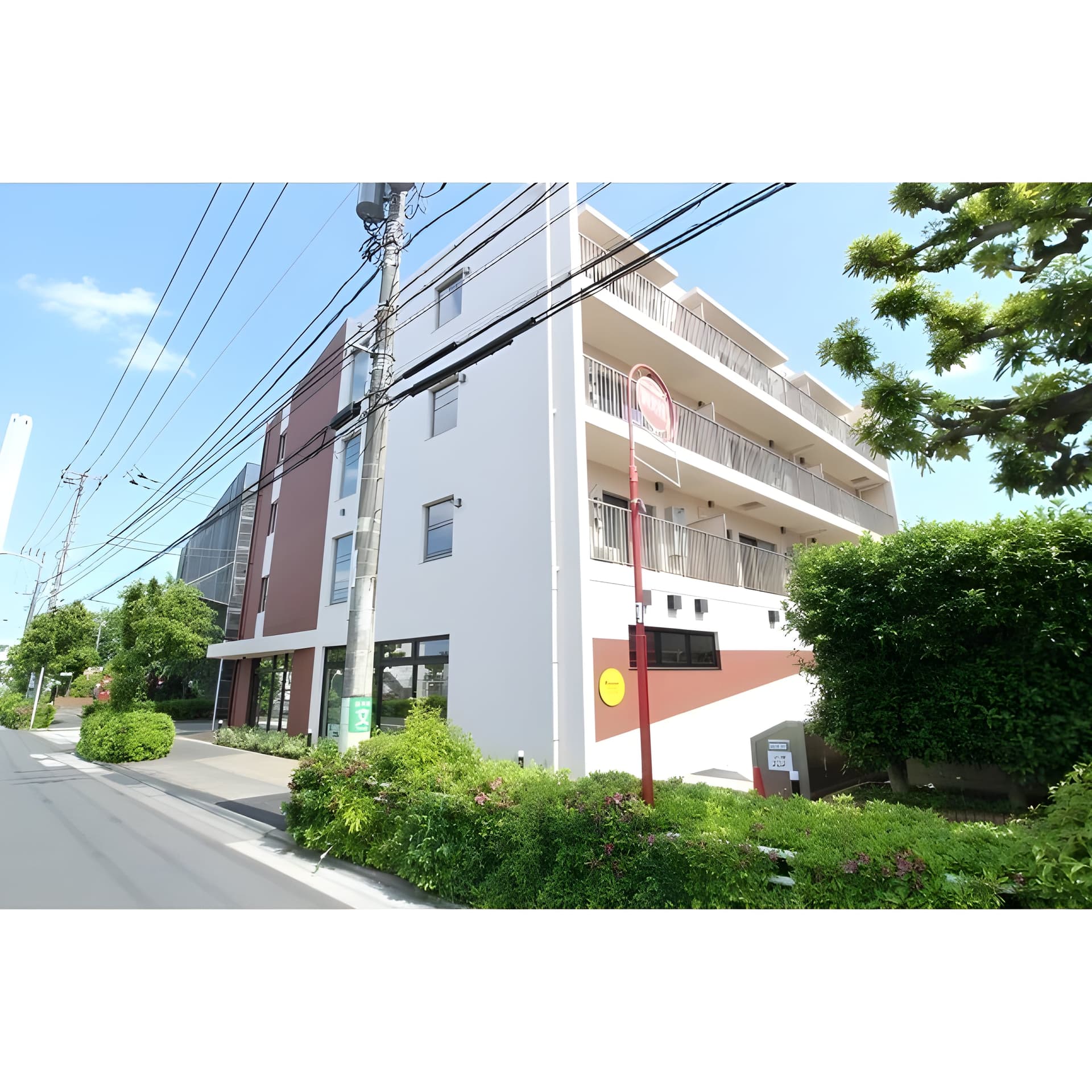 Milebel chitosedai 201