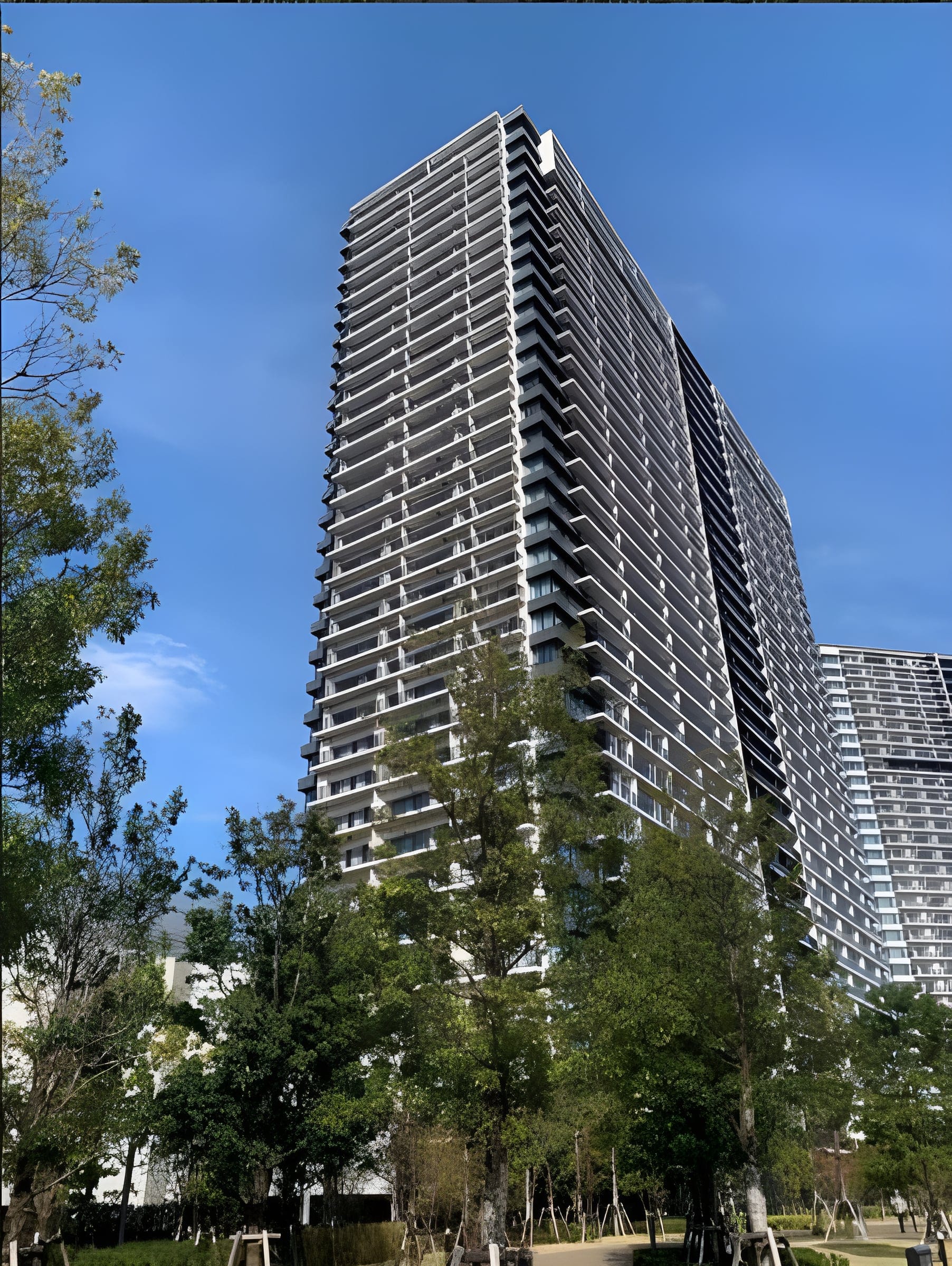 シティタワーズ東京ベイ セントラルタワー 3214