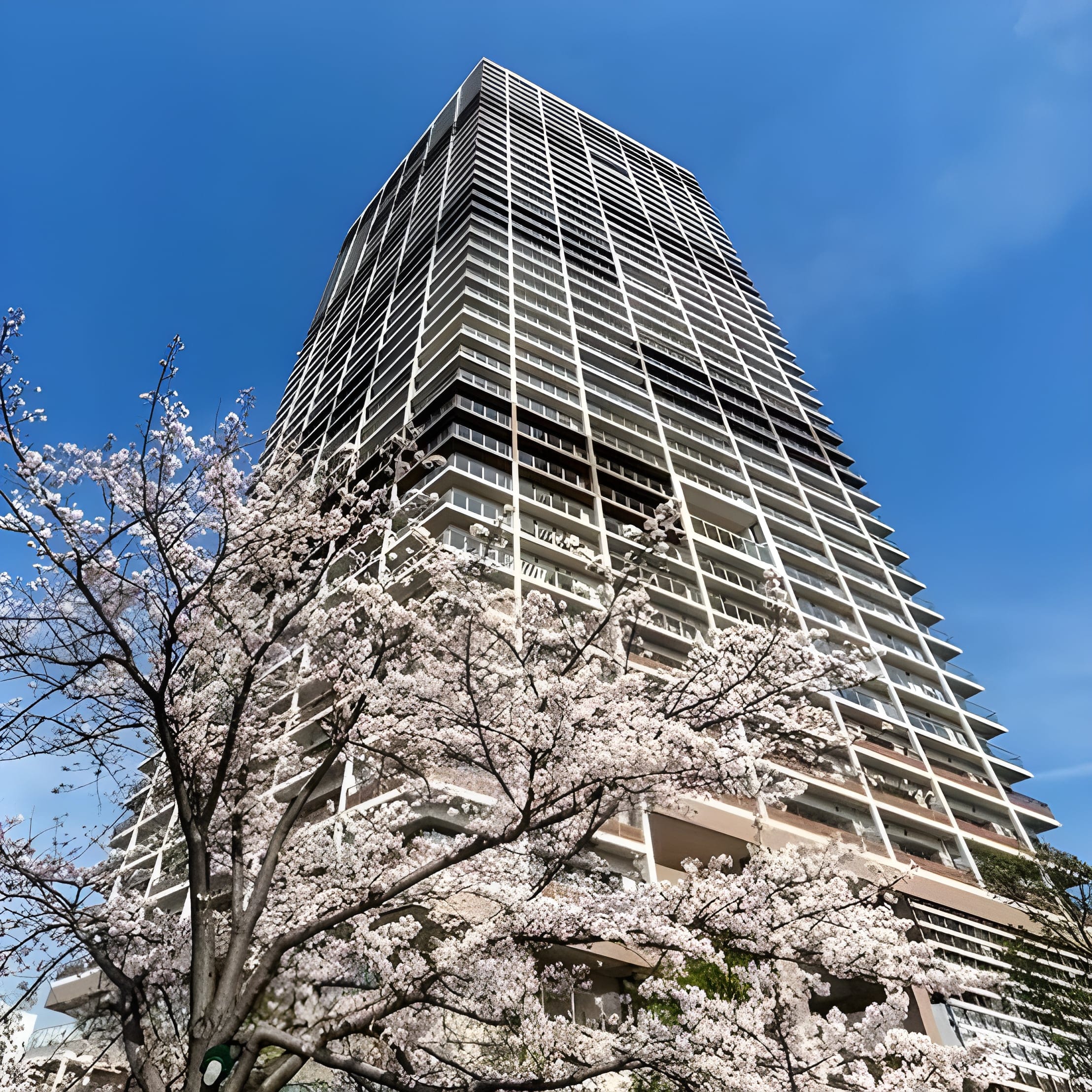 パークタワー東雲 4305