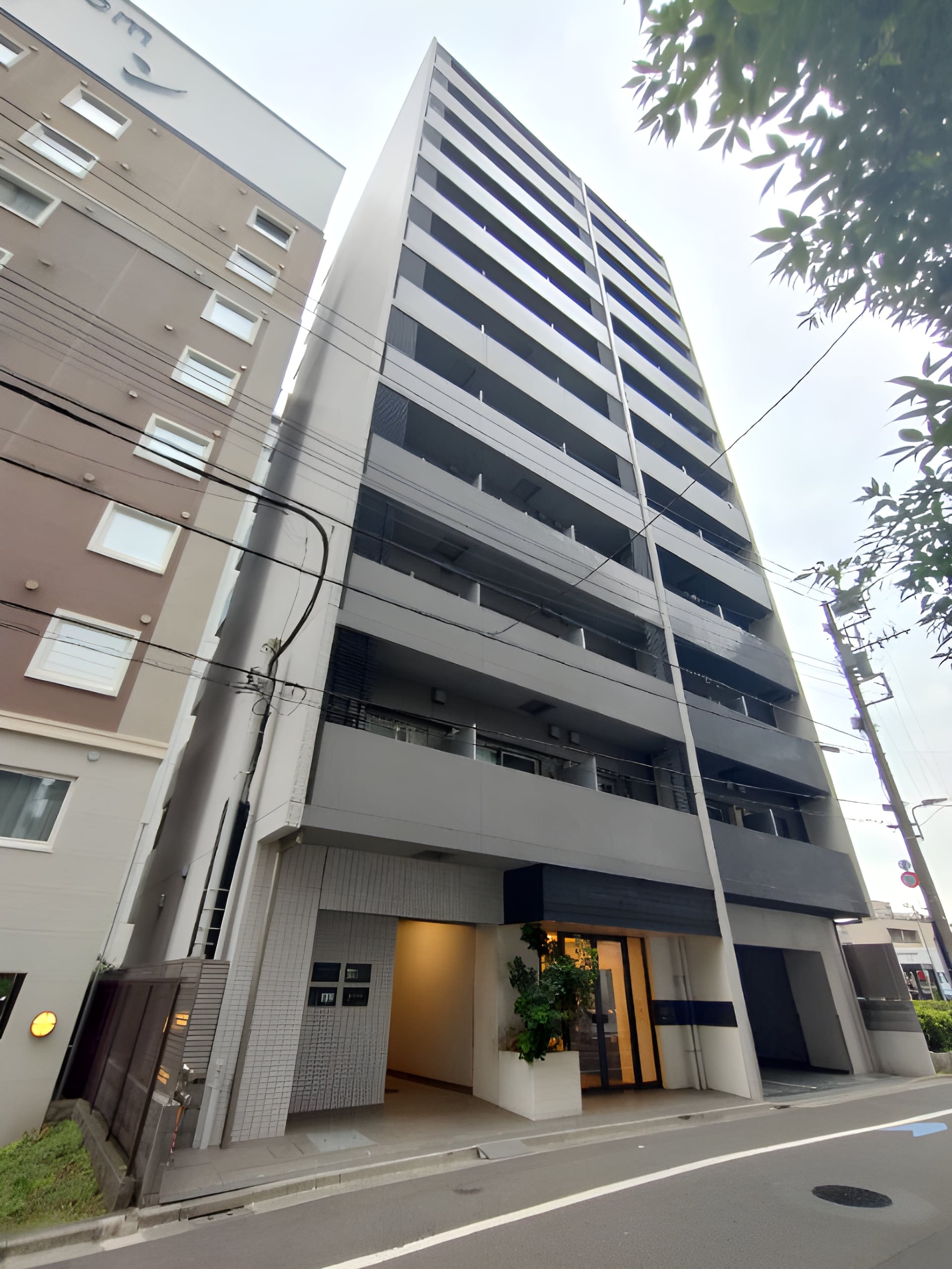 Log永代橋 501