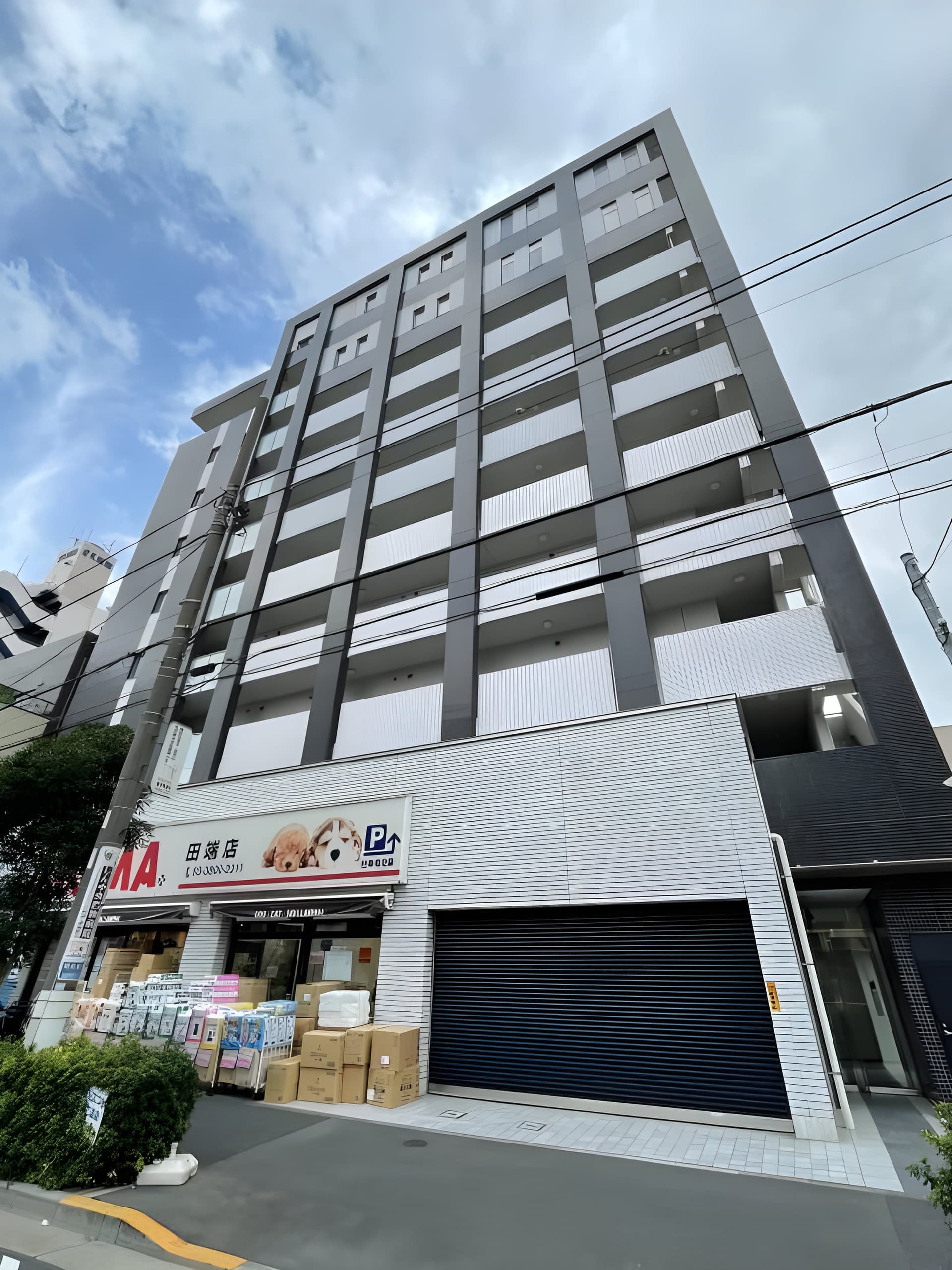 エリアM 601