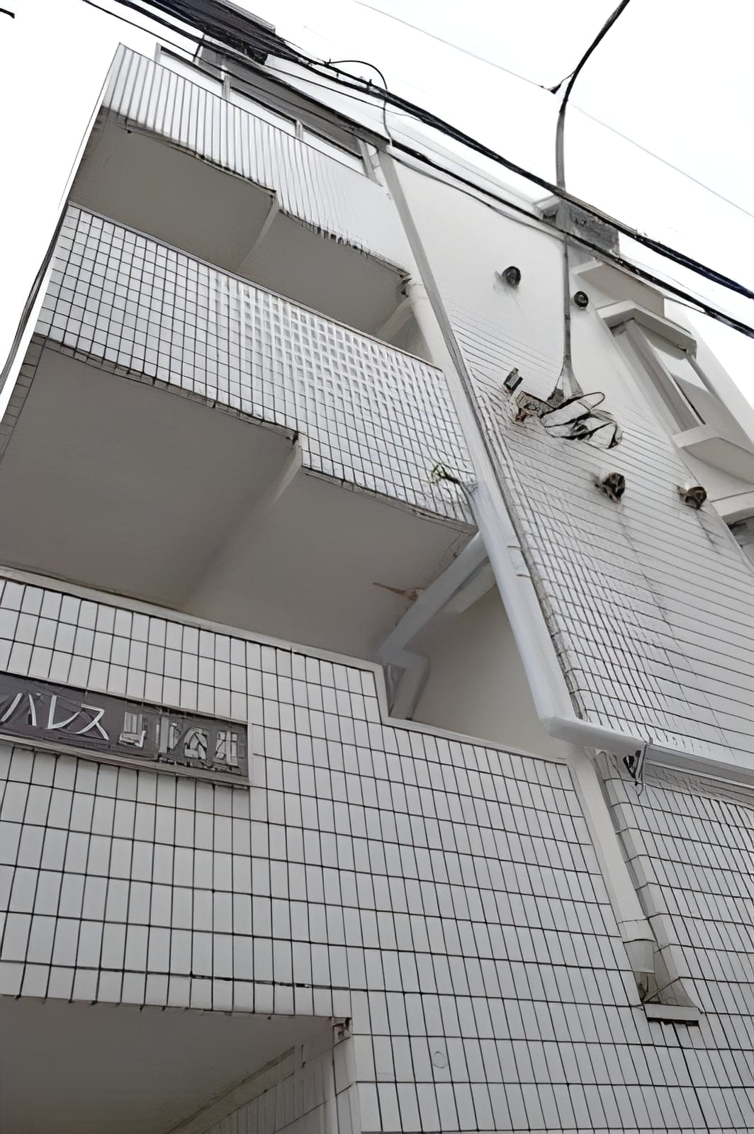 サンパレス馬事公苑 206