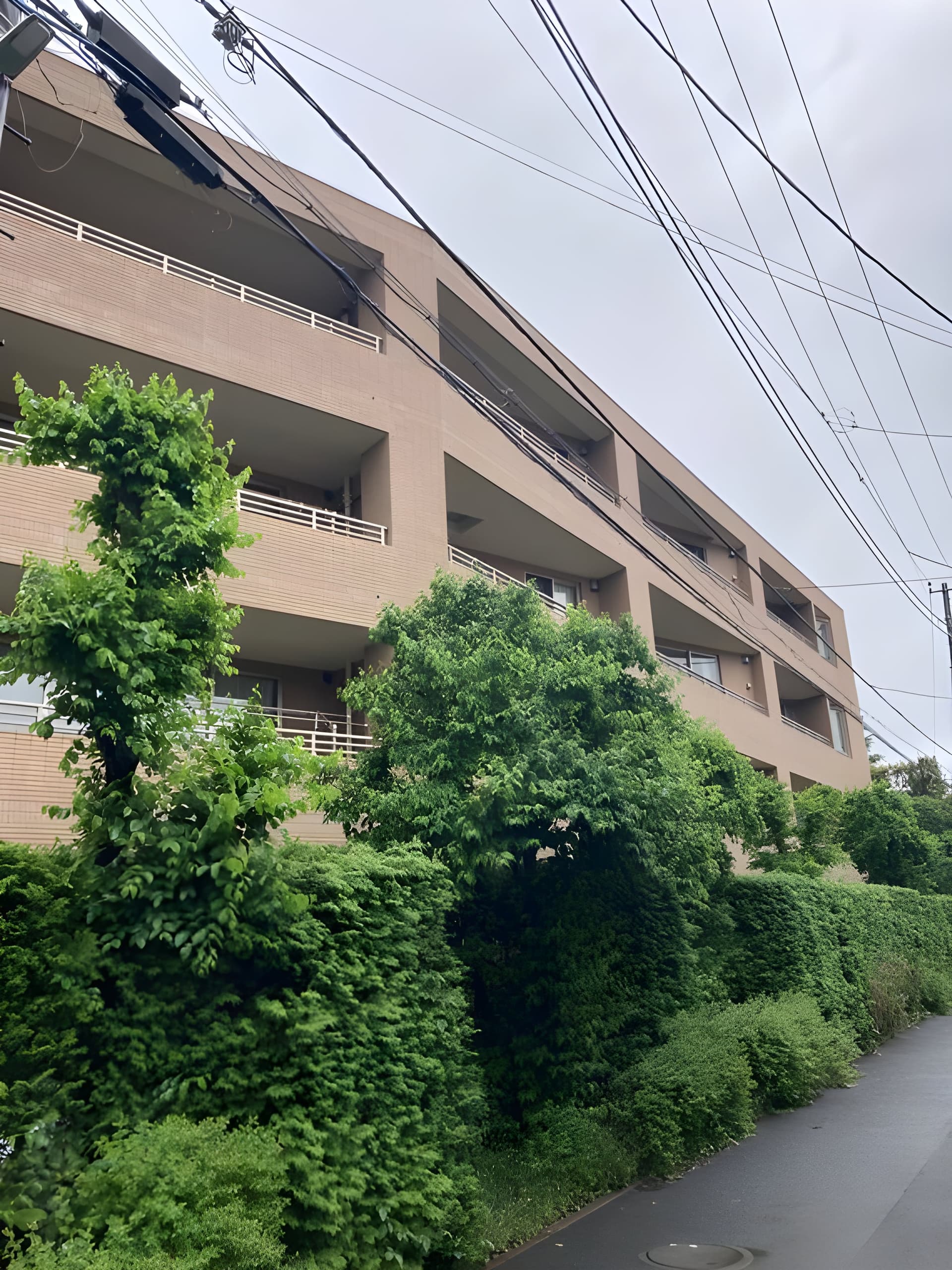 ハイコート浜田山壱丁目 105