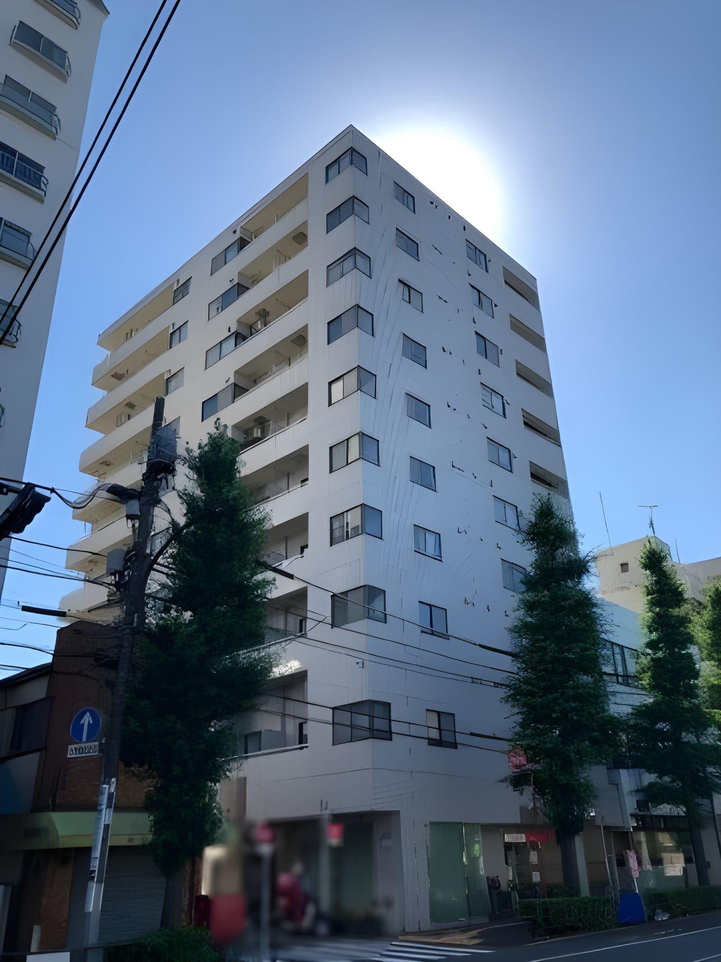 ハイリード・セイフウ 505