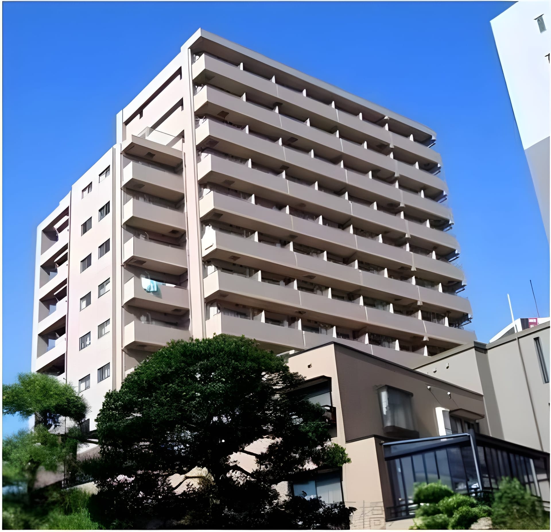 オーキッドレジデンス板橋 1101