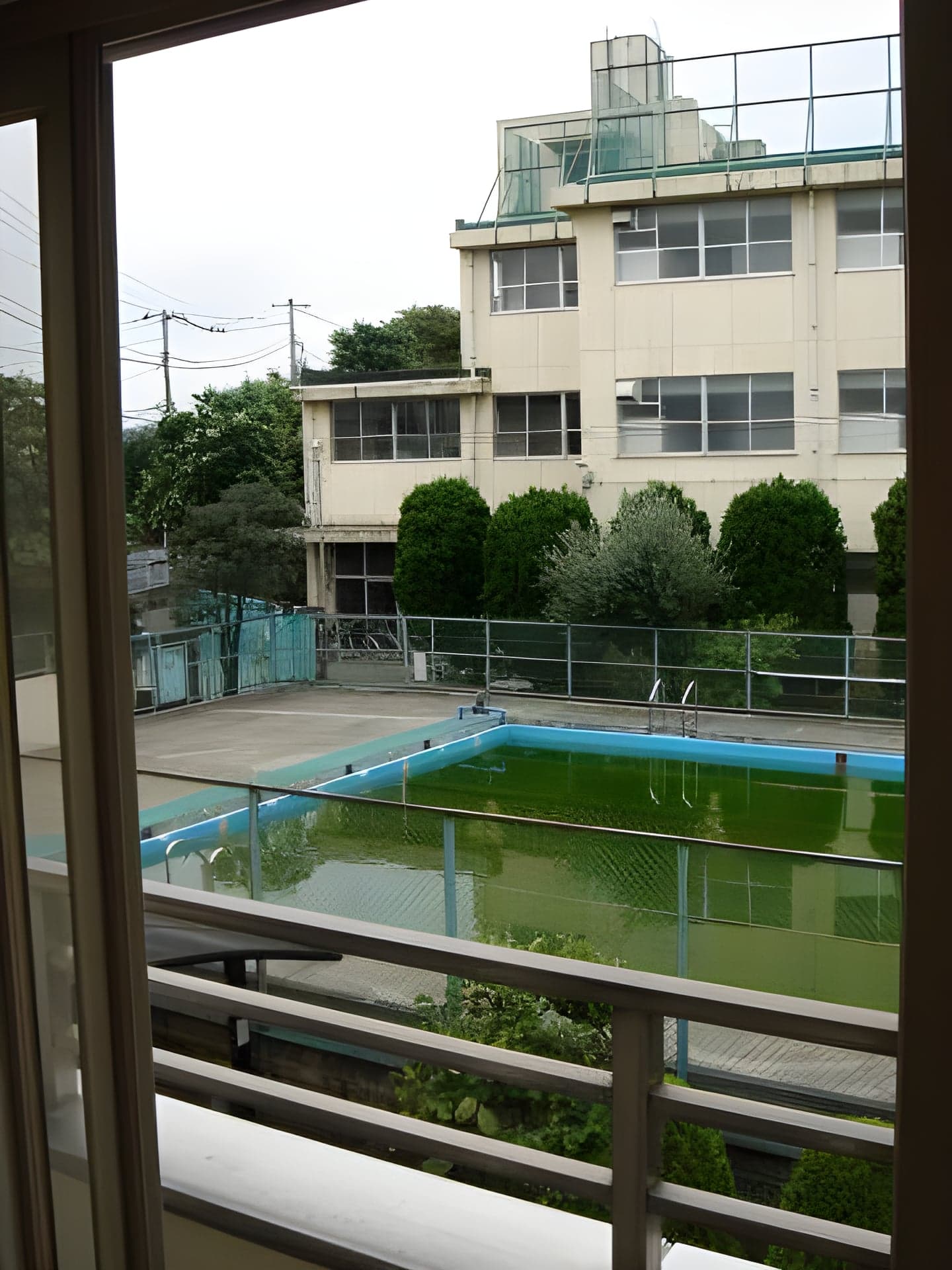 セラ若宮 202