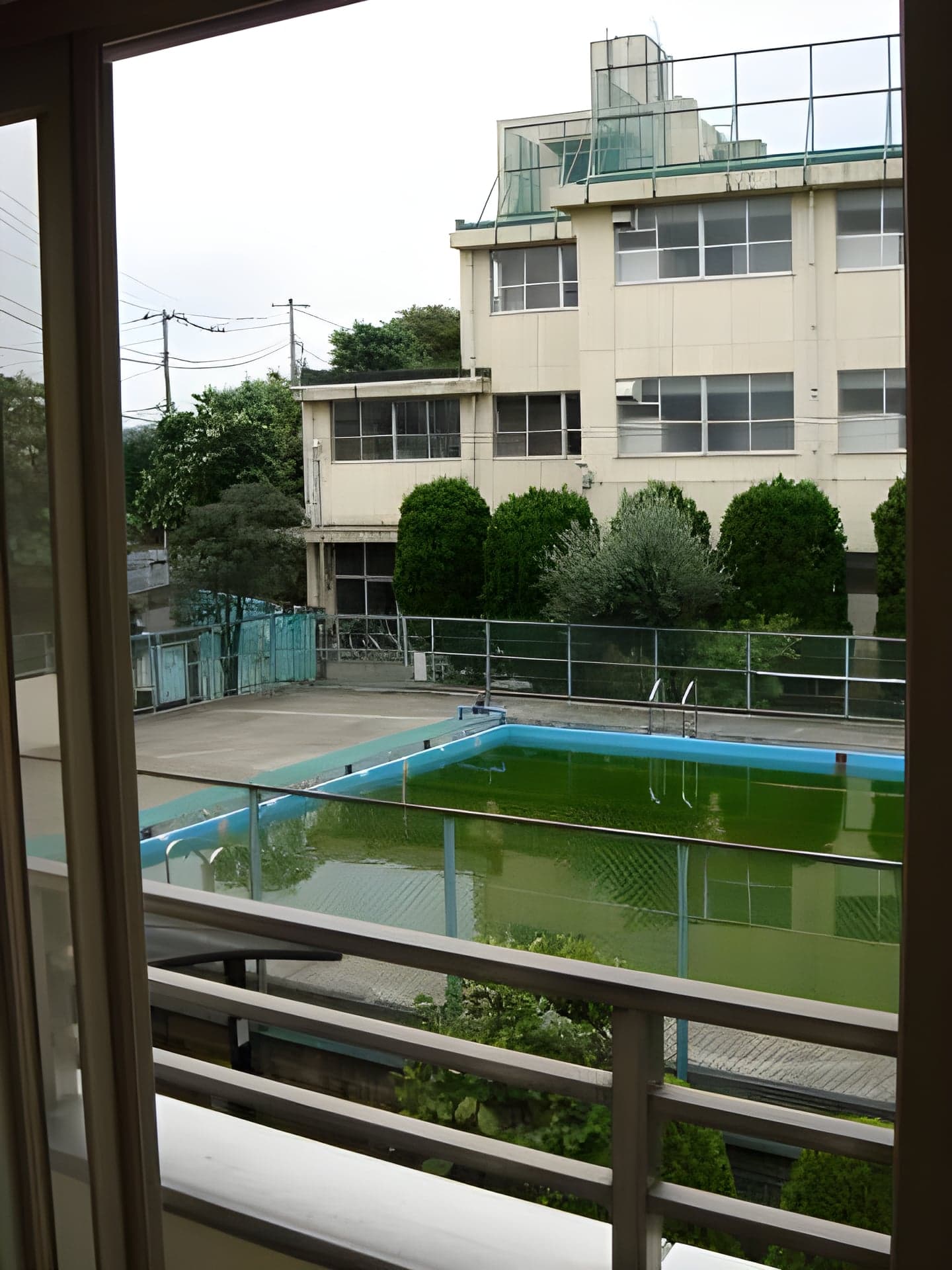 セラ若宮 203