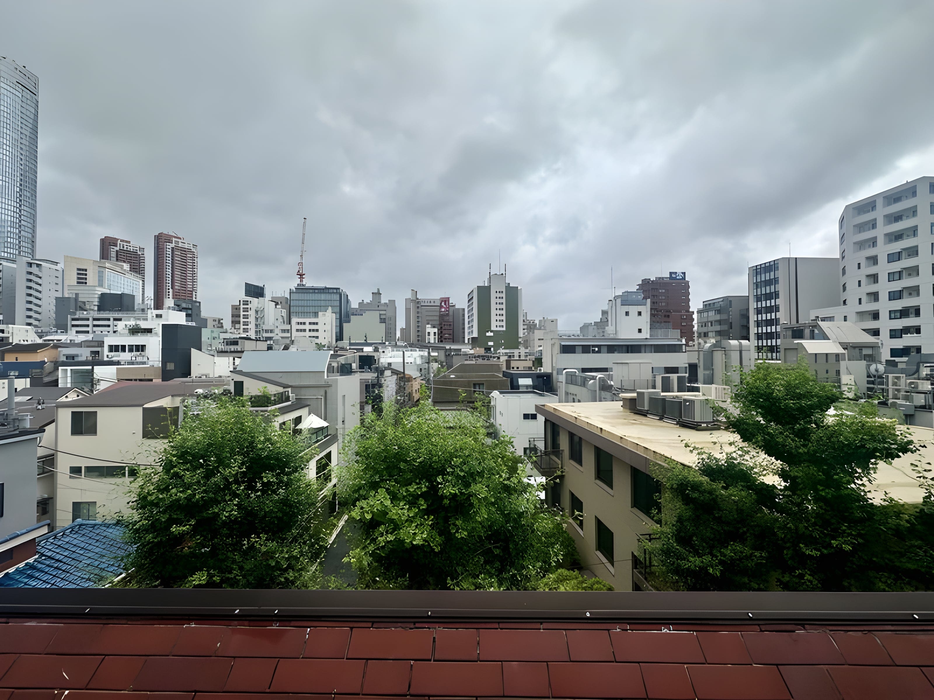 ロジマン西麻布 516 間取り図