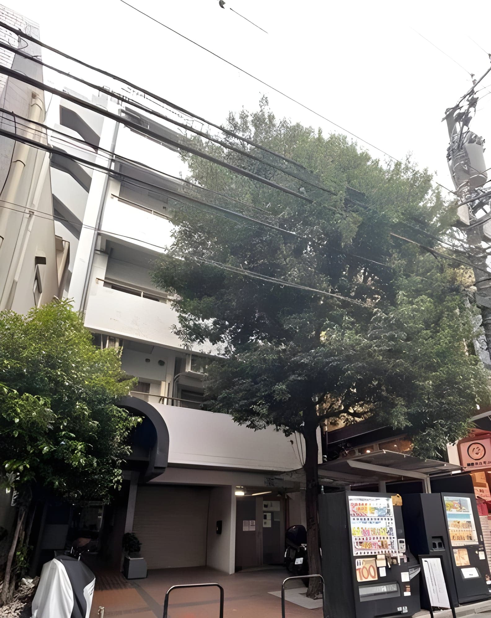 藤和渋谷コープⅡ 803