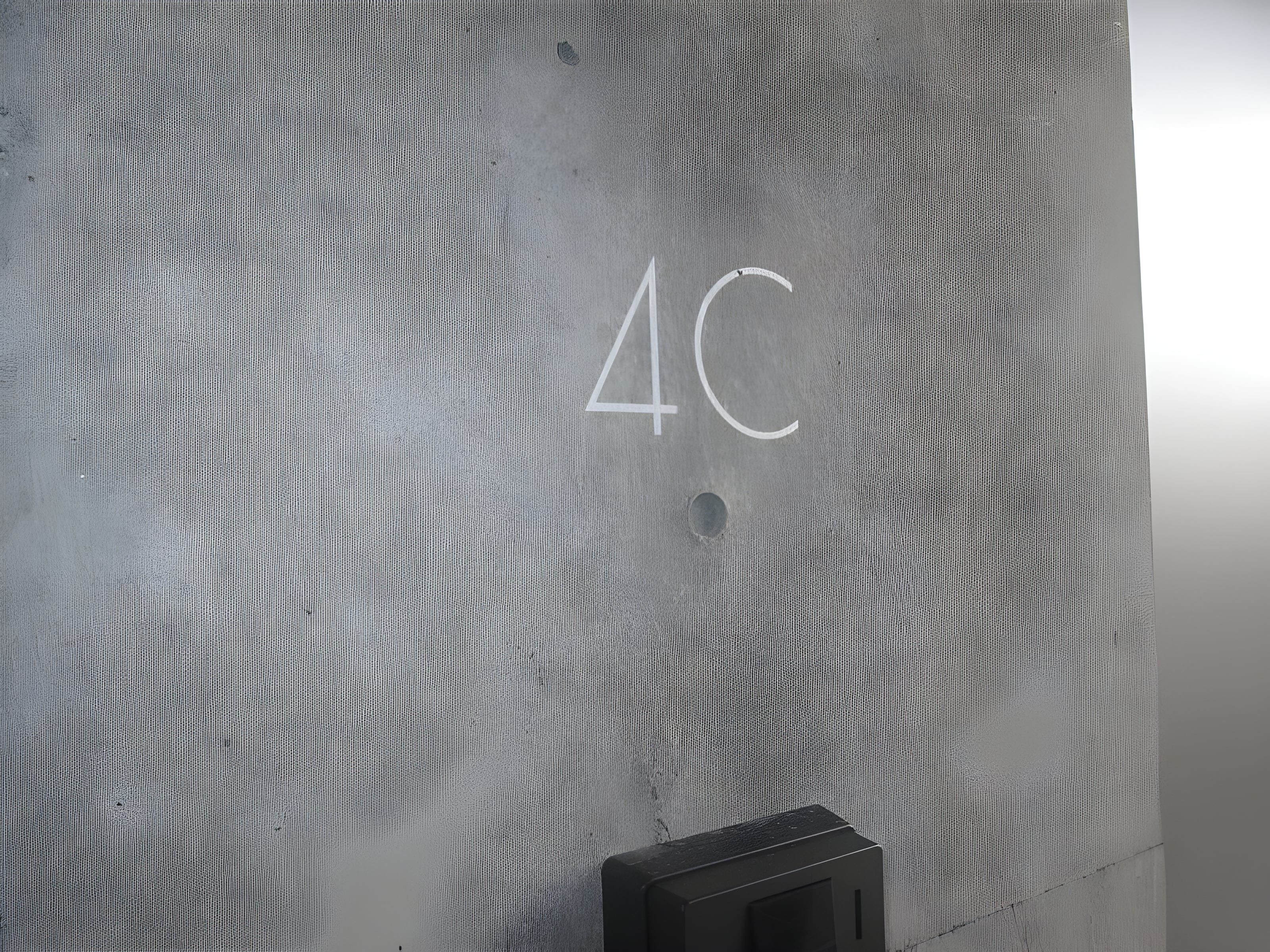 BUCKWHEAT TANAKA 4C