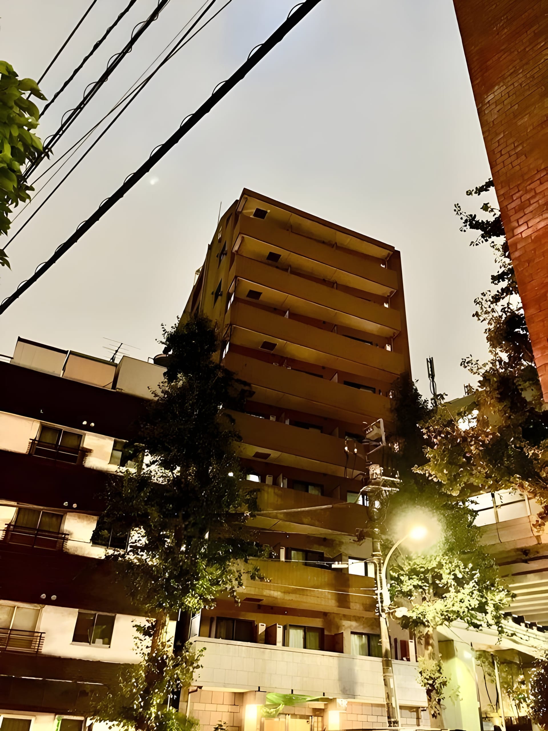 PALACE STUDIO 文京音羽 604
