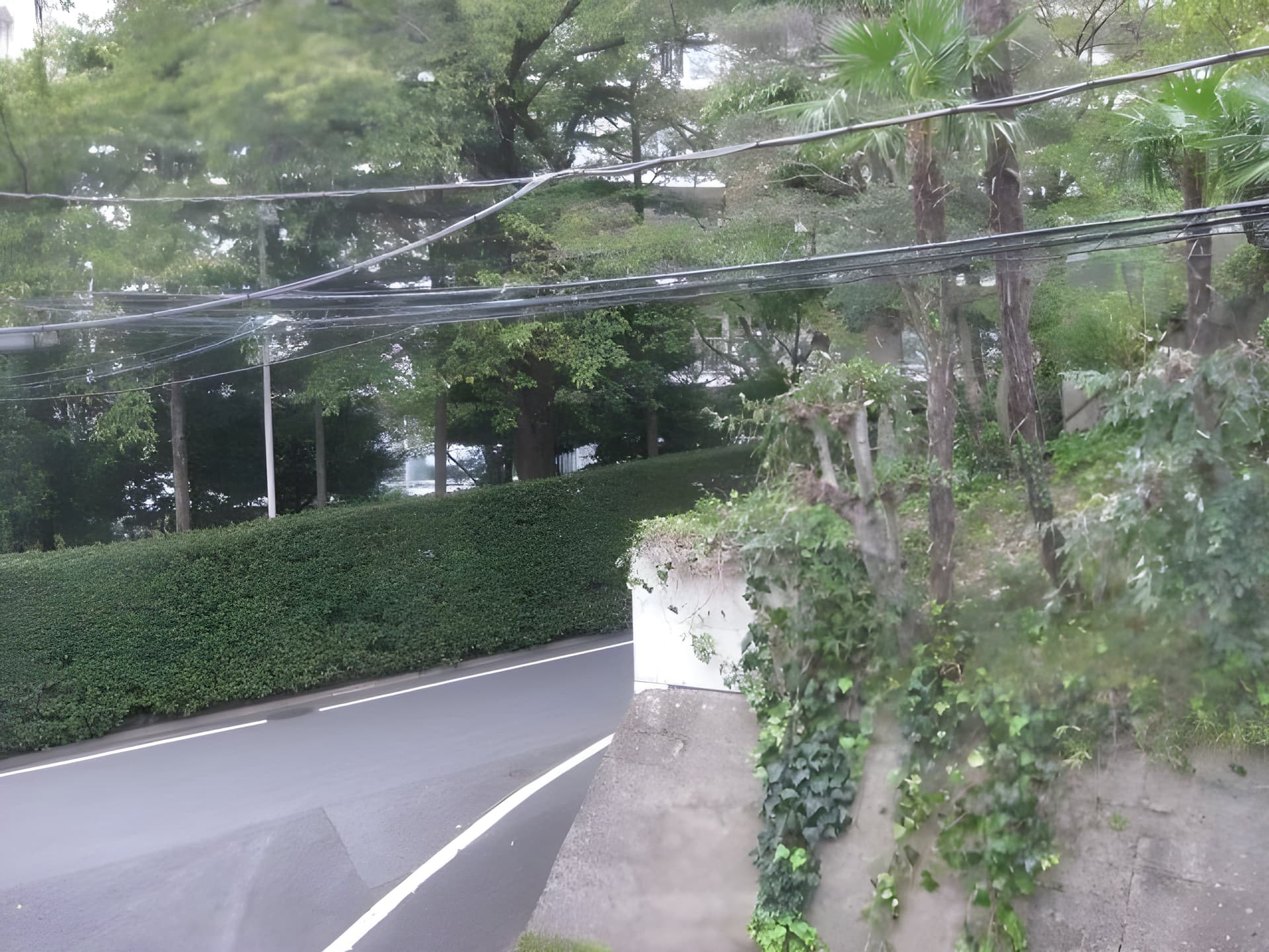 グリーンハウス上野毛 2C