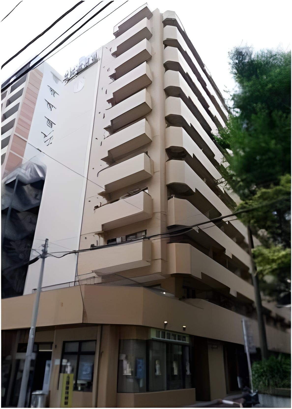 ライオンズマンション新宿東公園 1007