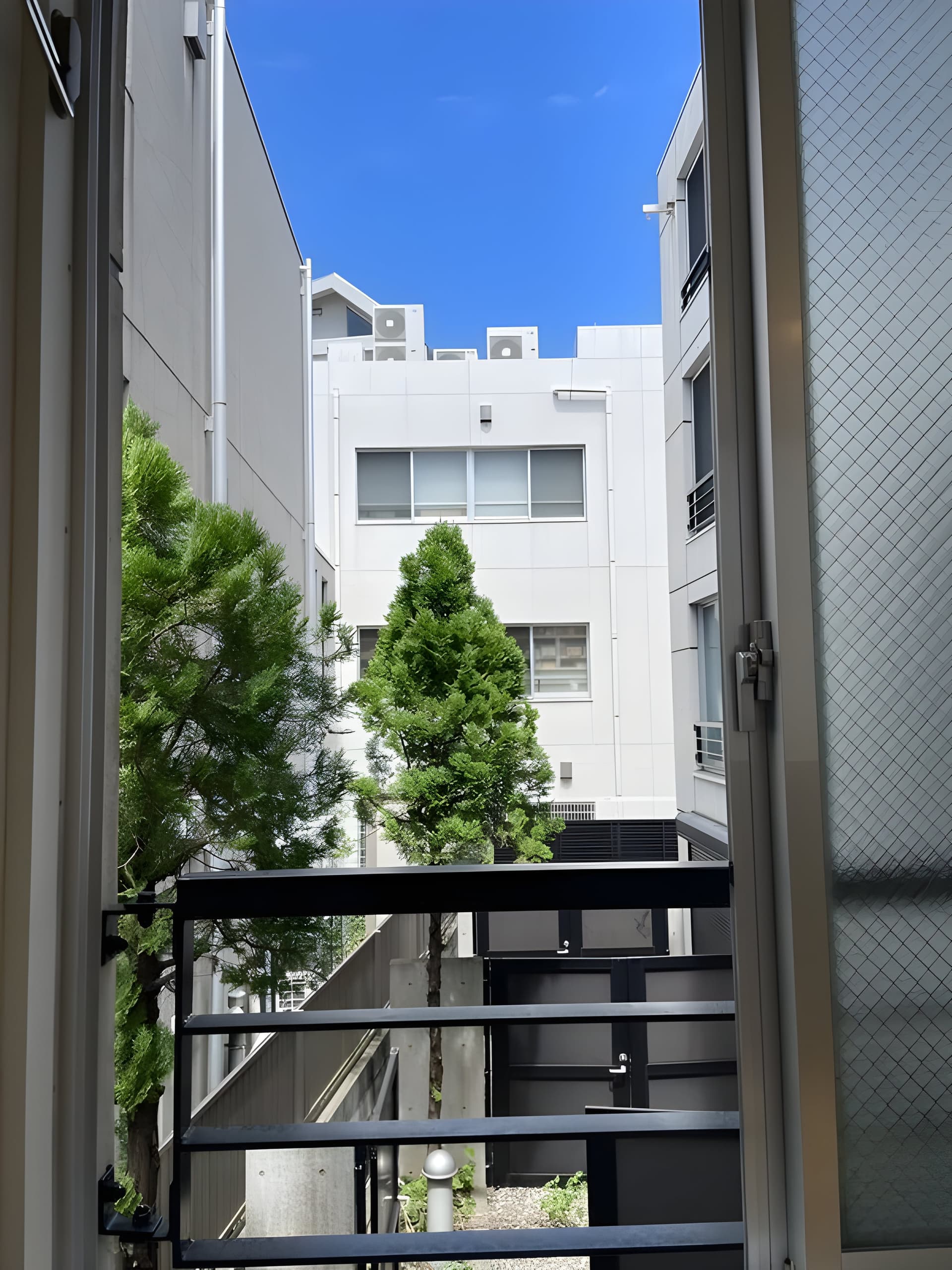 ZESTY学芸大学 104