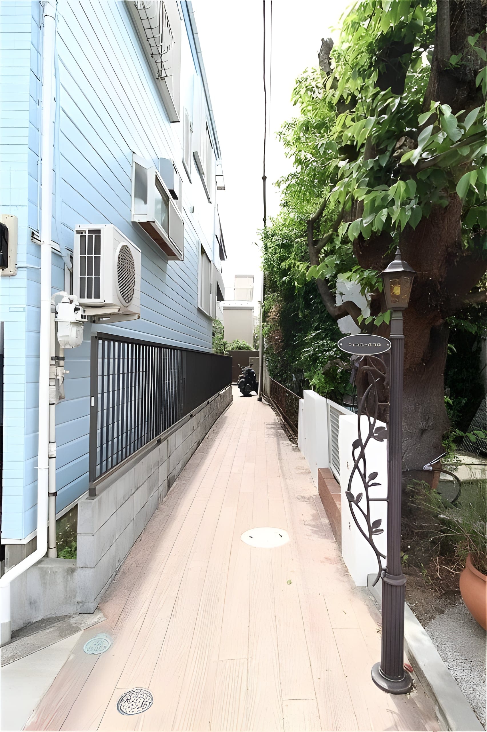 ウィンコーポ池袋 203