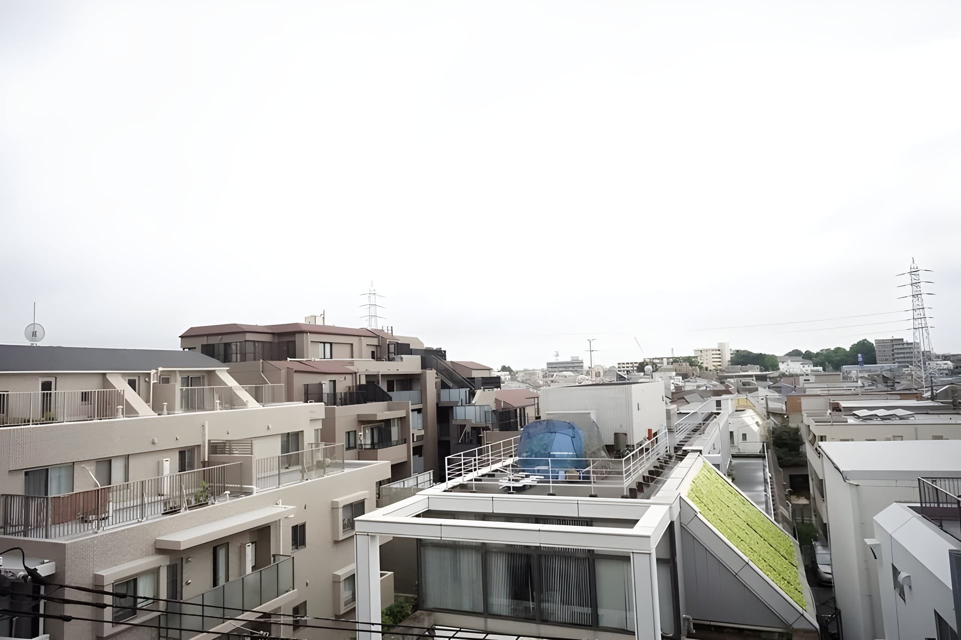 ウエリス代沢 502