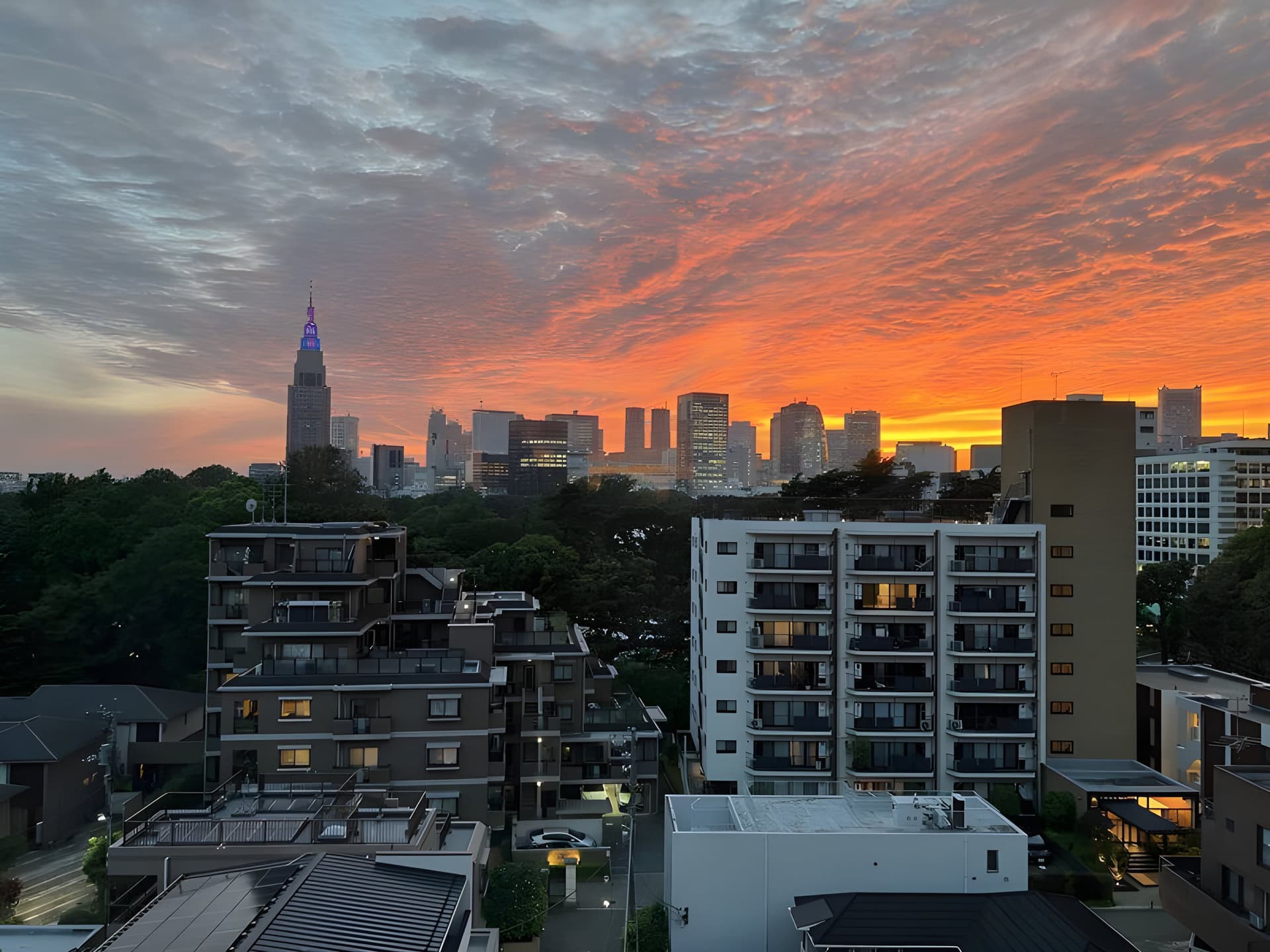 ジオ御苑内藤町 801