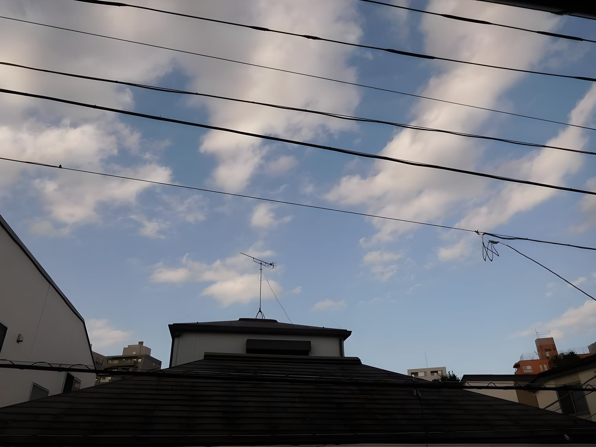 アーバンハイツ本駒込 201