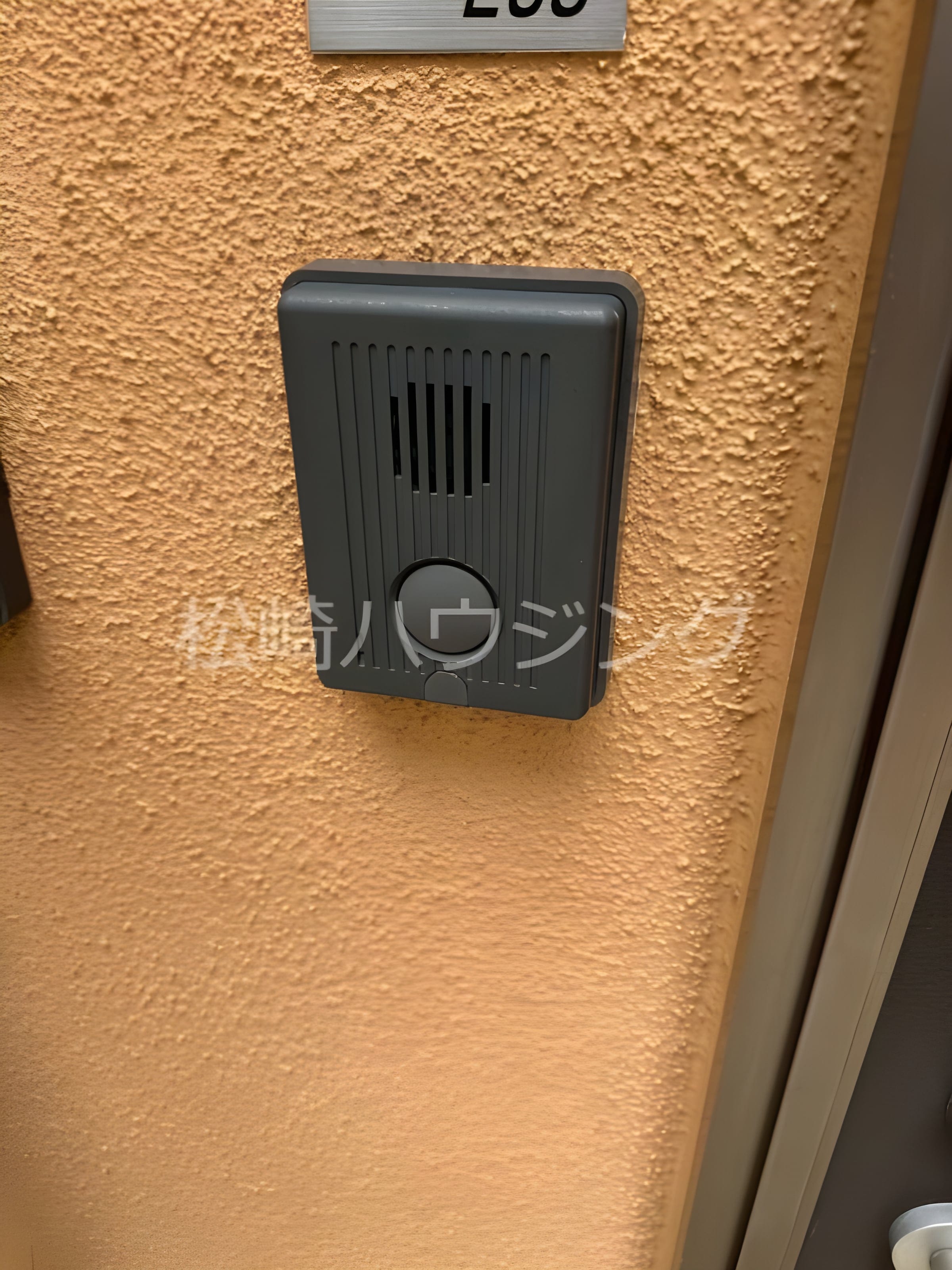 パームグローヴ 208