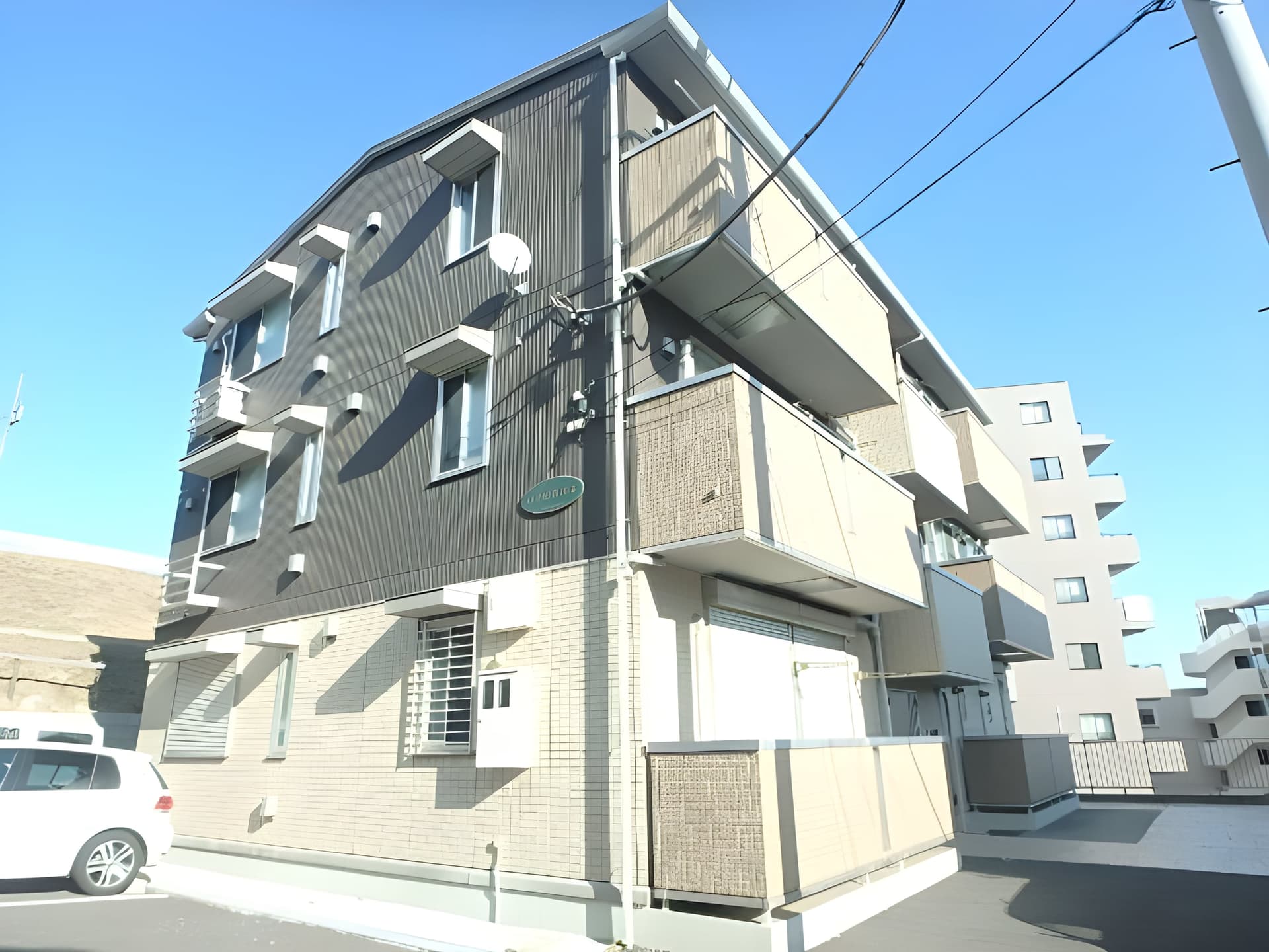 ハイビスカス 102