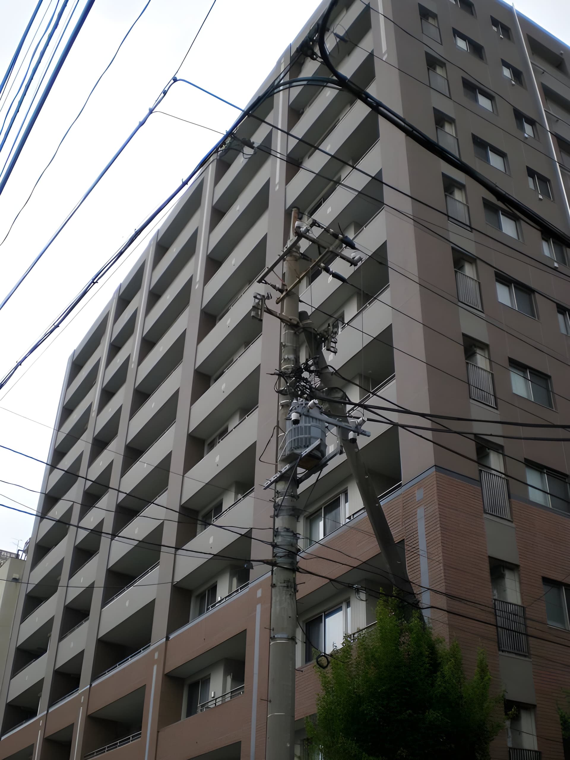 シャリエ錦糸町石原 905