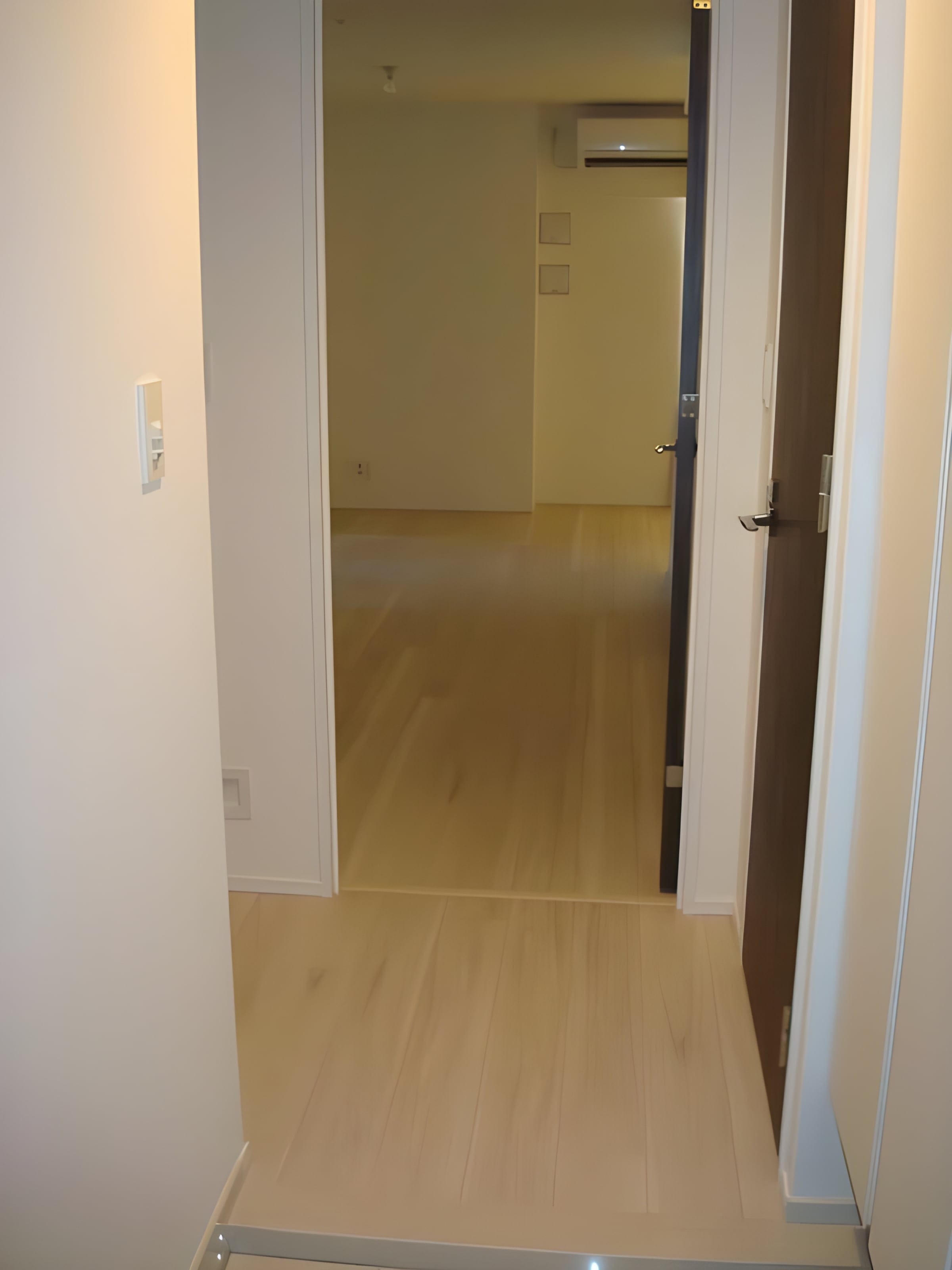 ライトテラス浅草 1001 間取り図