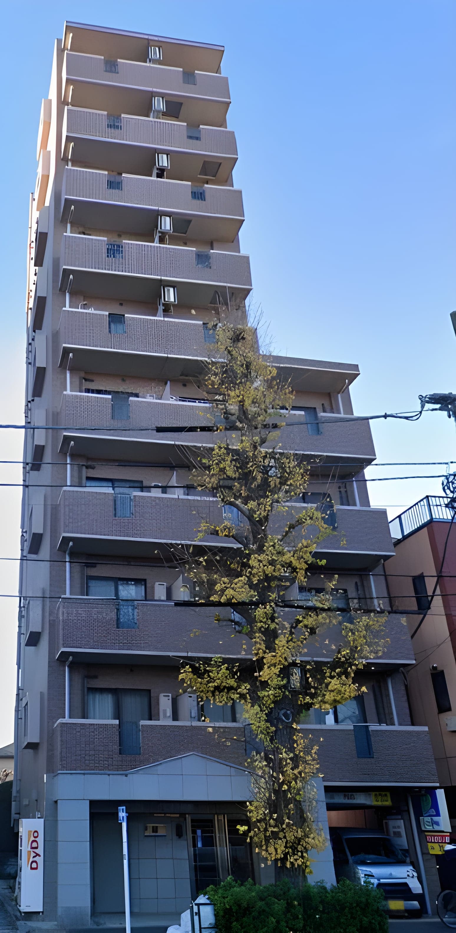 ジュエル西荻窪 801