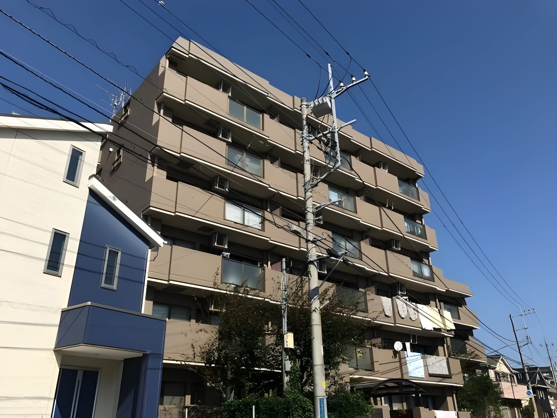 T’s garden柏 309