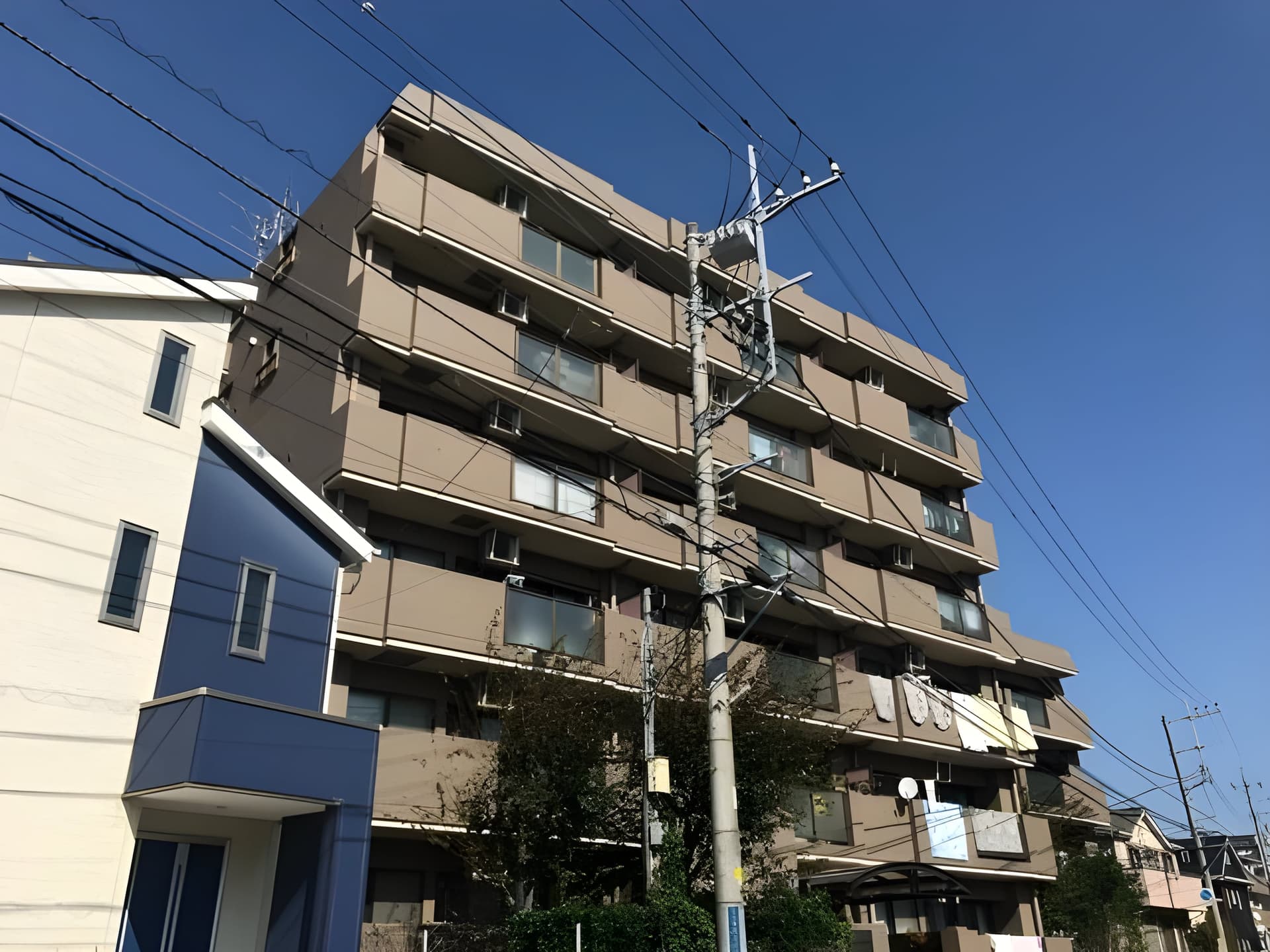 T’s garden柏 506