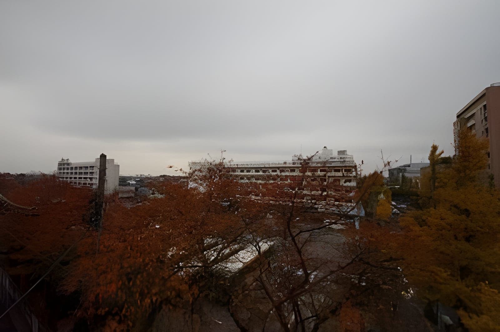 梅里1・15・11 301