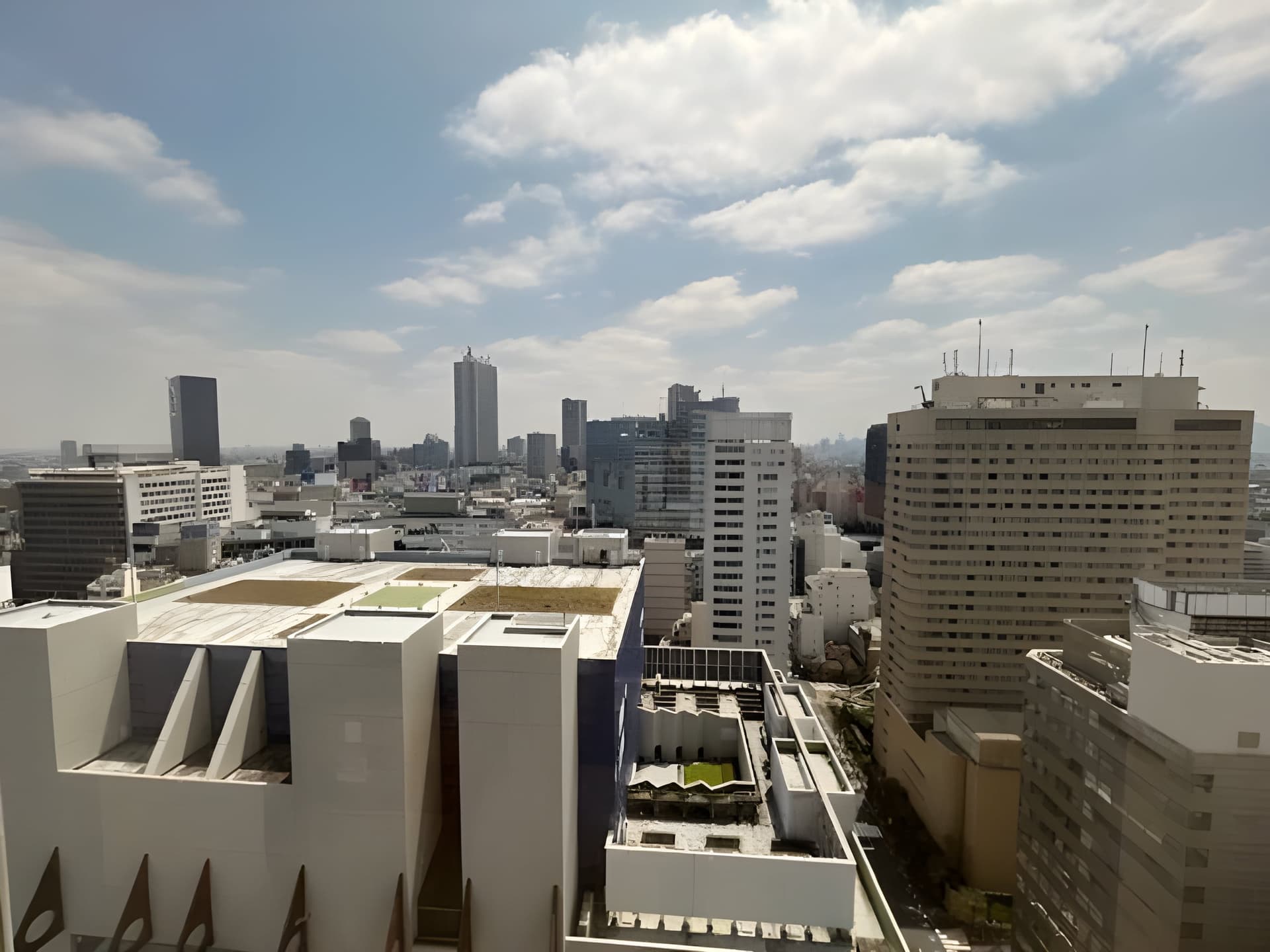 ウエストパークタワー池袋 2408
