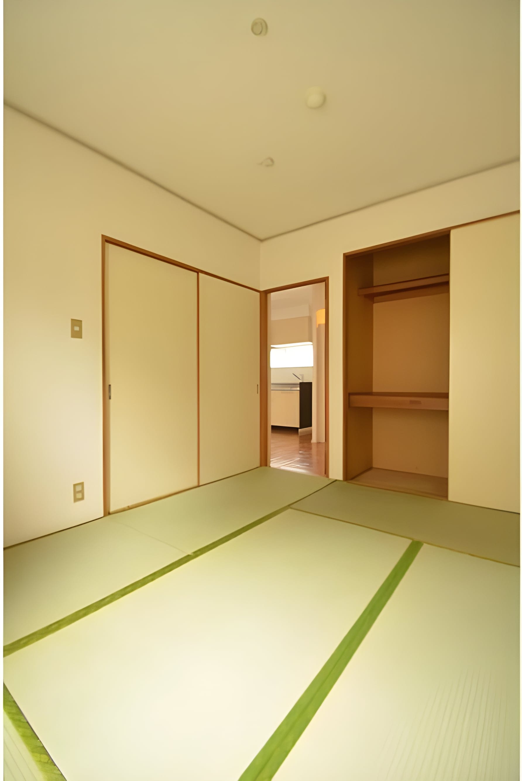 エクセル518A棟 205