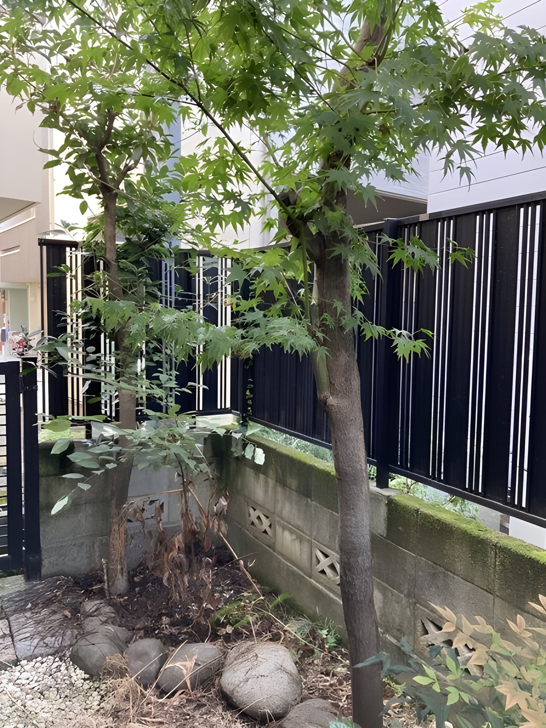 赤城下町 戸建 戸建 32.8万円/入力なし/なし