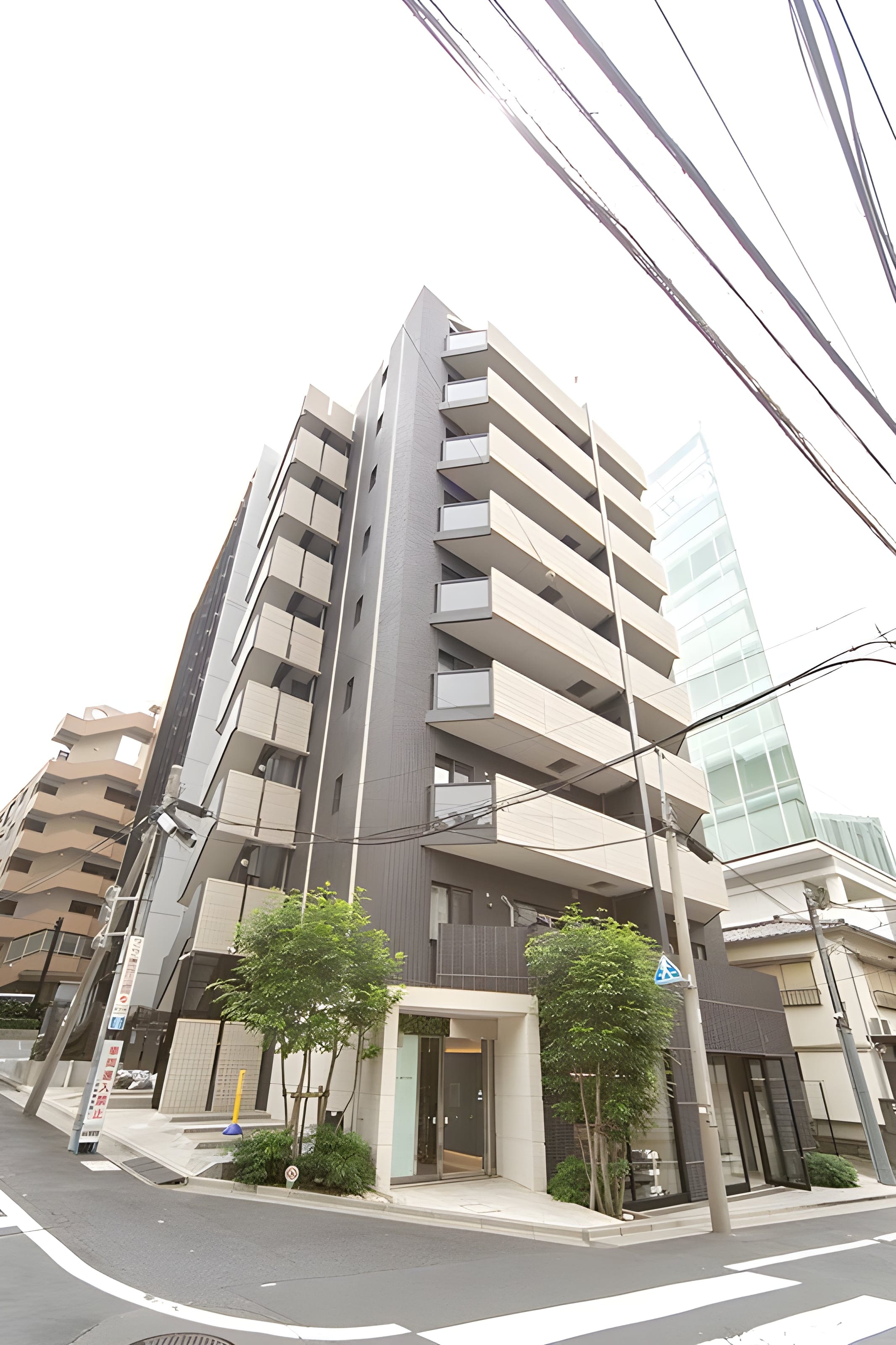 FLATS MITAKE 501