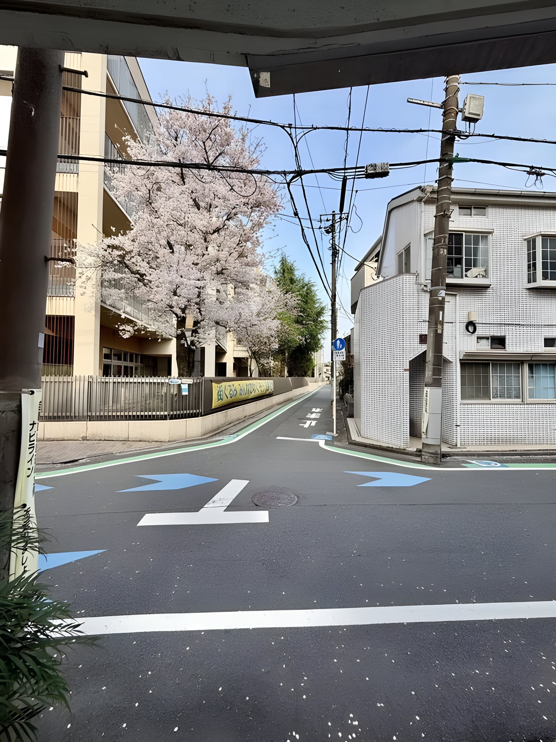ライオンズマンション荻窪第7 2F