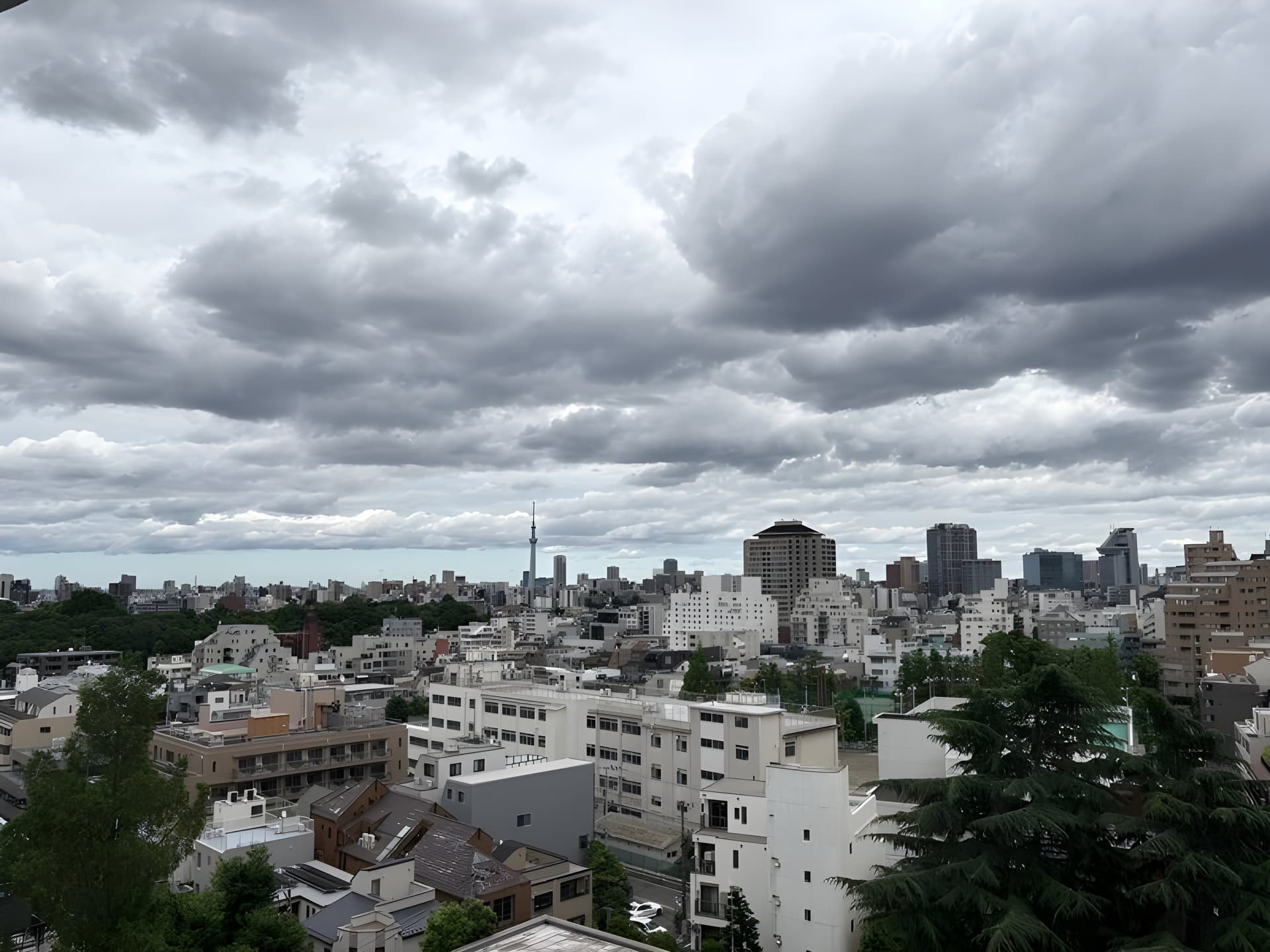 ドミ小石川 1203