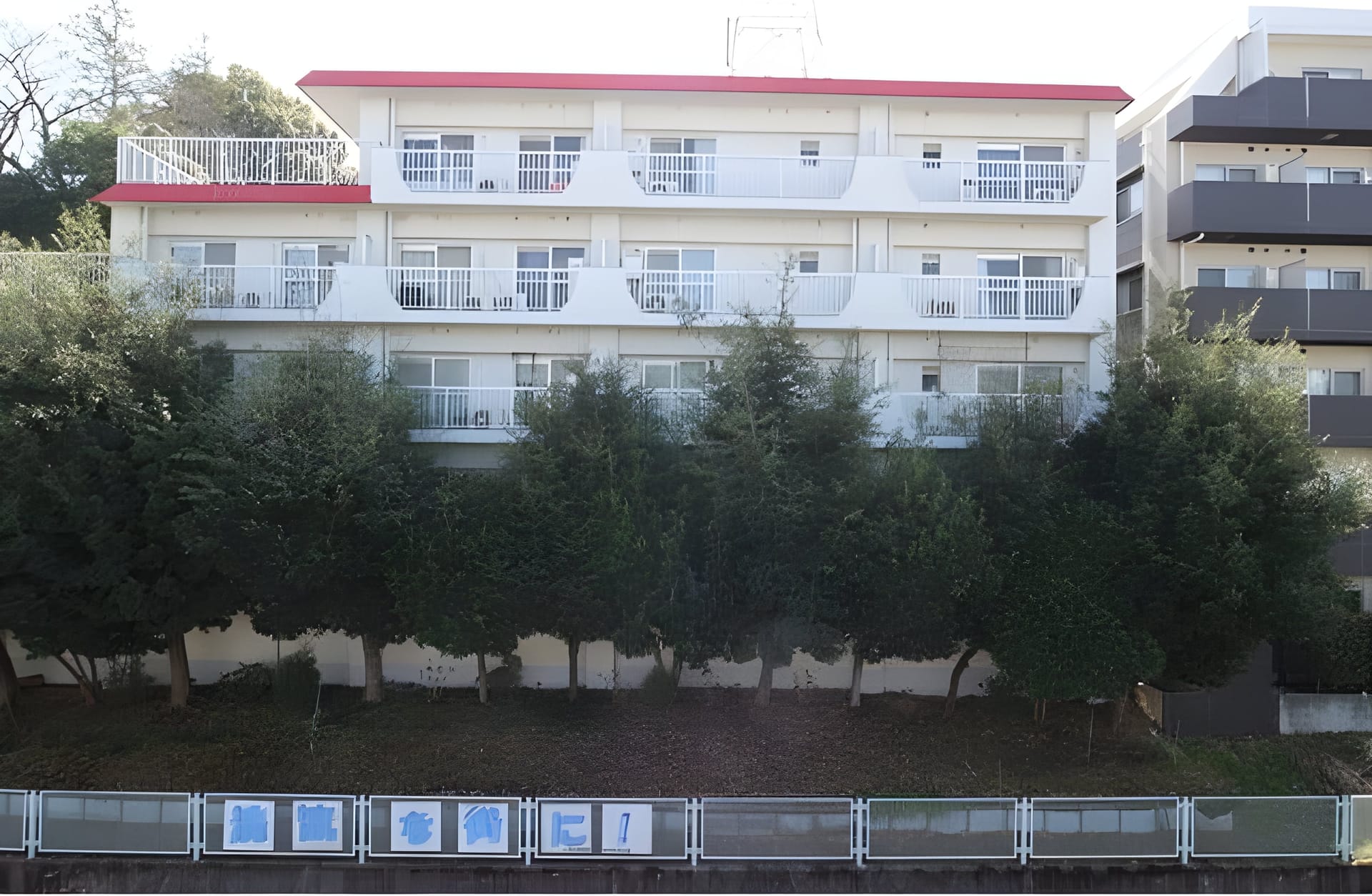 LOC'S IKUTA 310