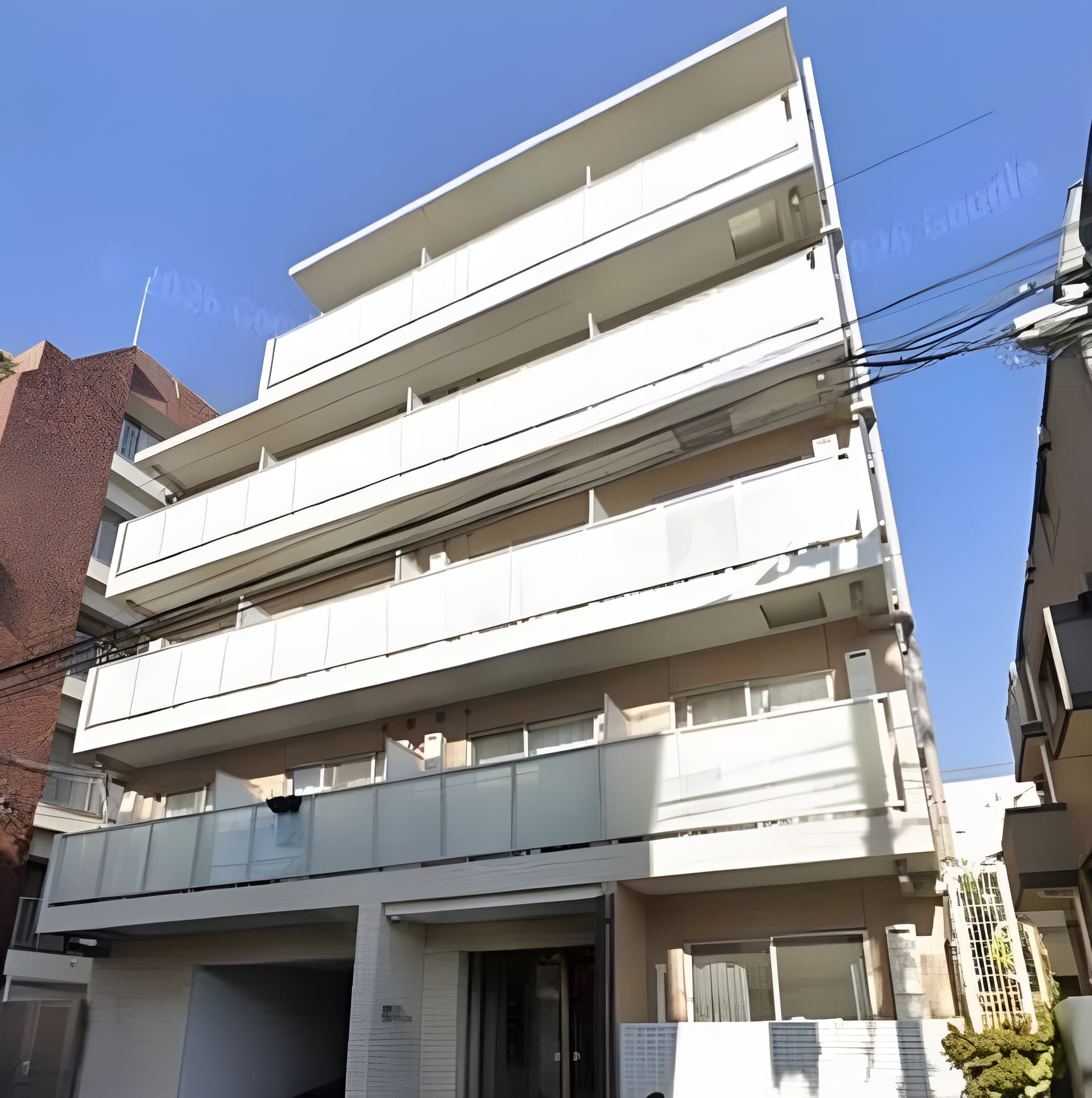 GROWS TOKIWADAI 207
