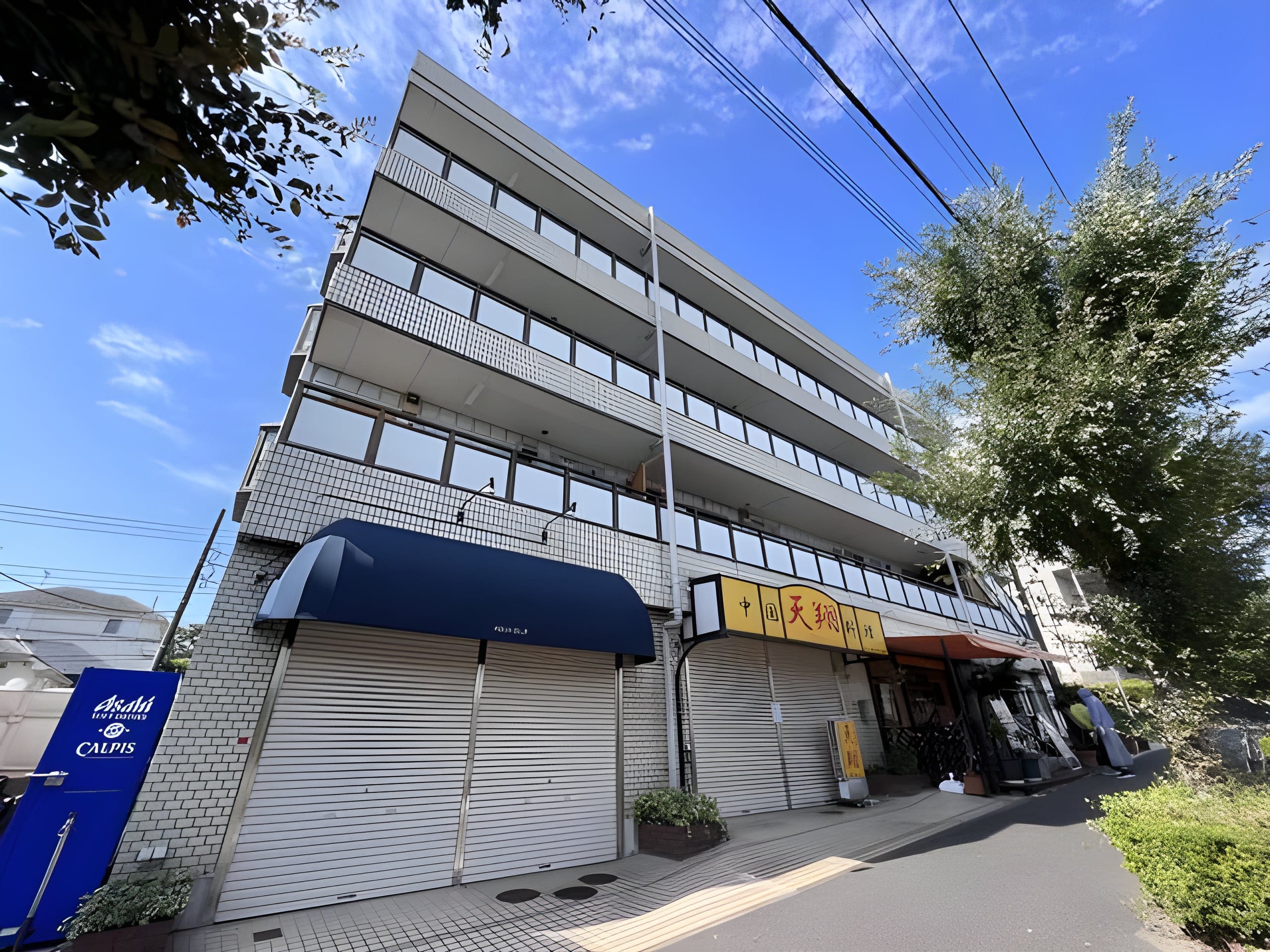 サンヒルズ金子 202