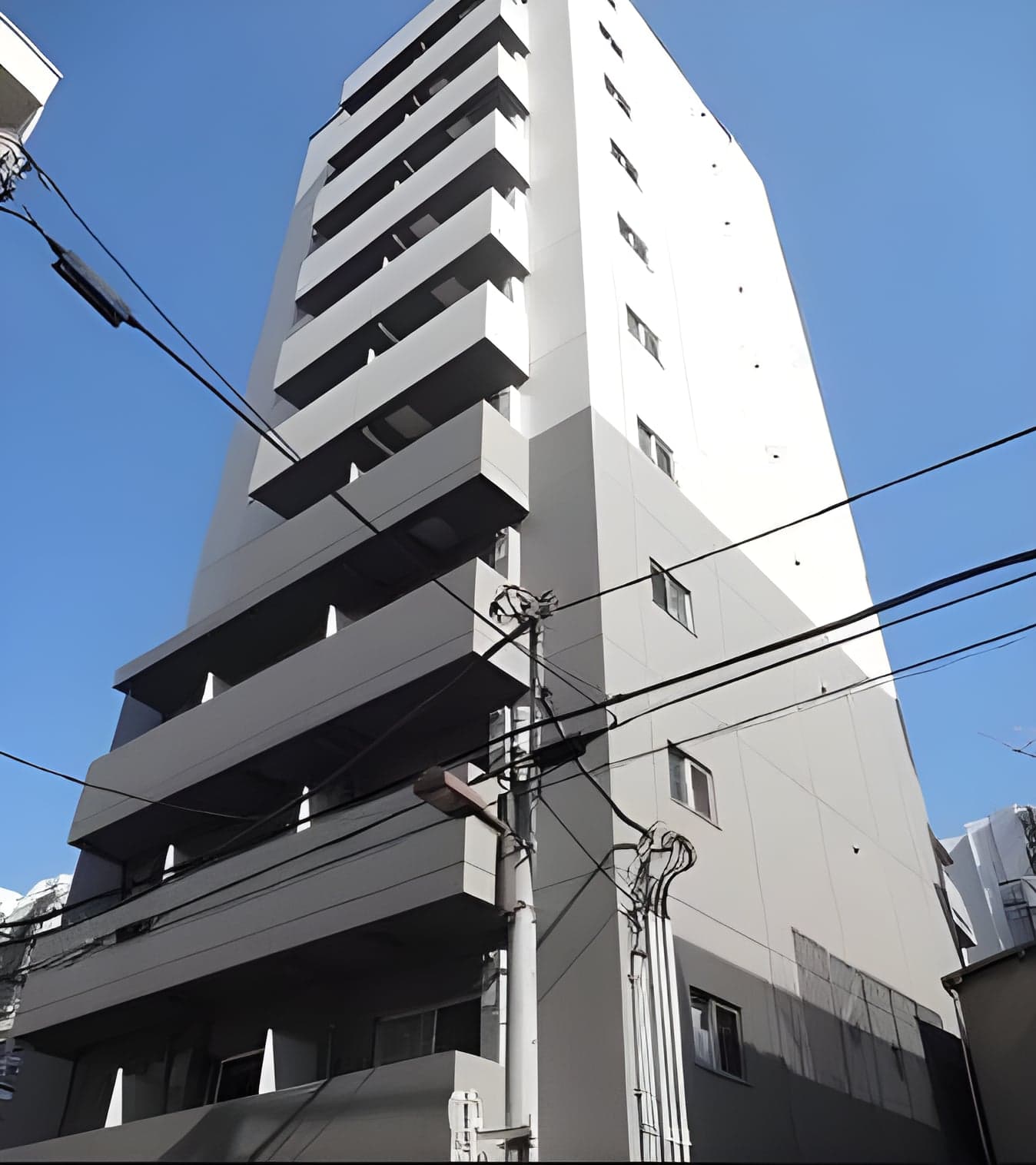 アルテシモラルゴ 502