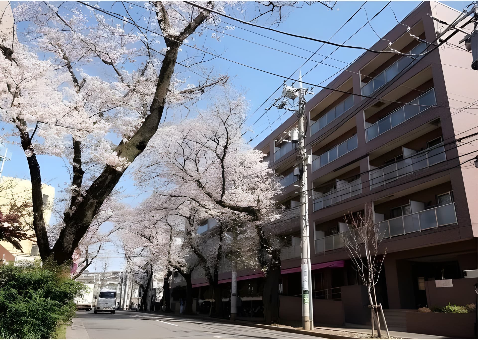 コンフォリアたまプラーザ 401