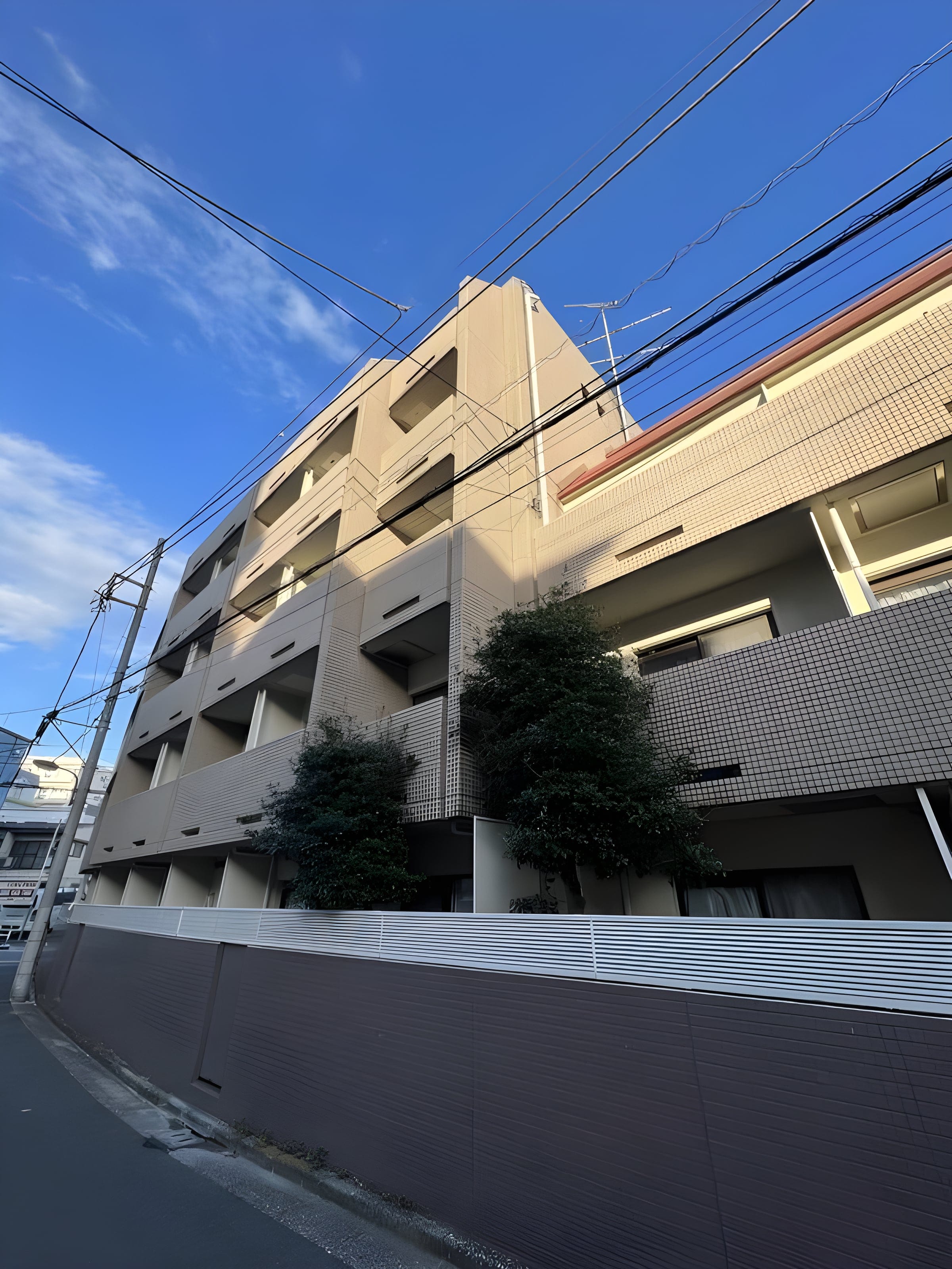 DANTE上池袋 306