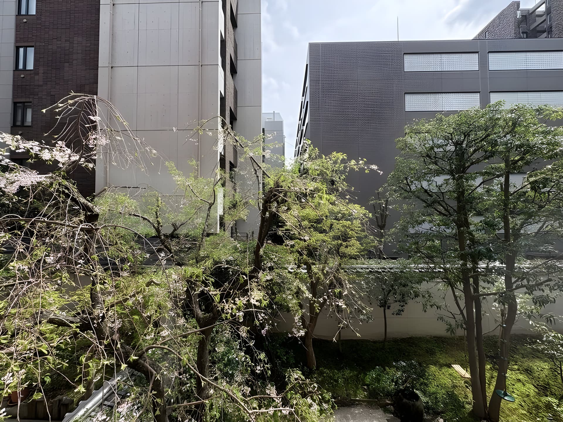 一番町ハウス 201