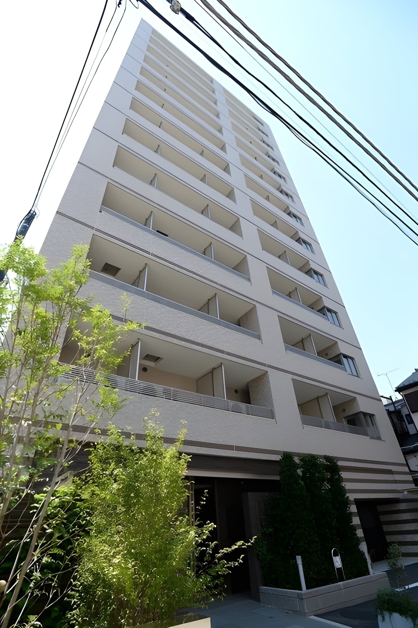 ザ・パークハビオ 蔵前 502 間取り図